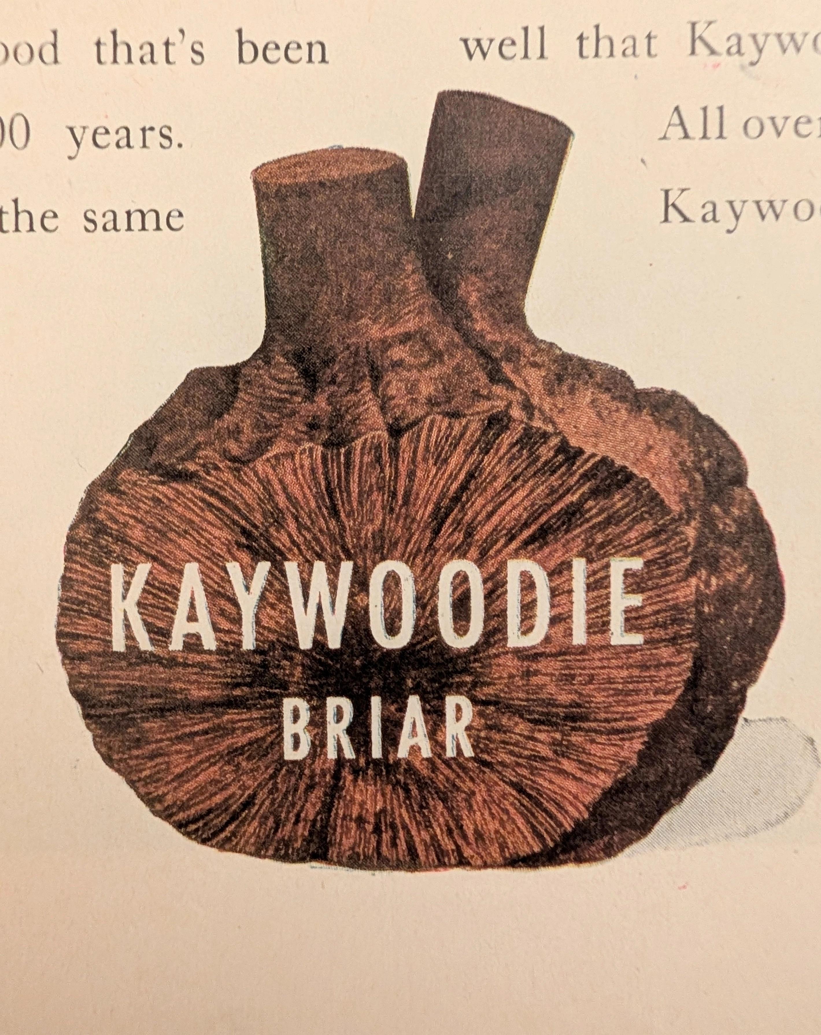 タイムトラベラーの記録 (The Time Traveller's Dossier) : 1943年 ケイウッディのパイプ - 戦前のブライア材の贅沢 — The Record Institute Journal