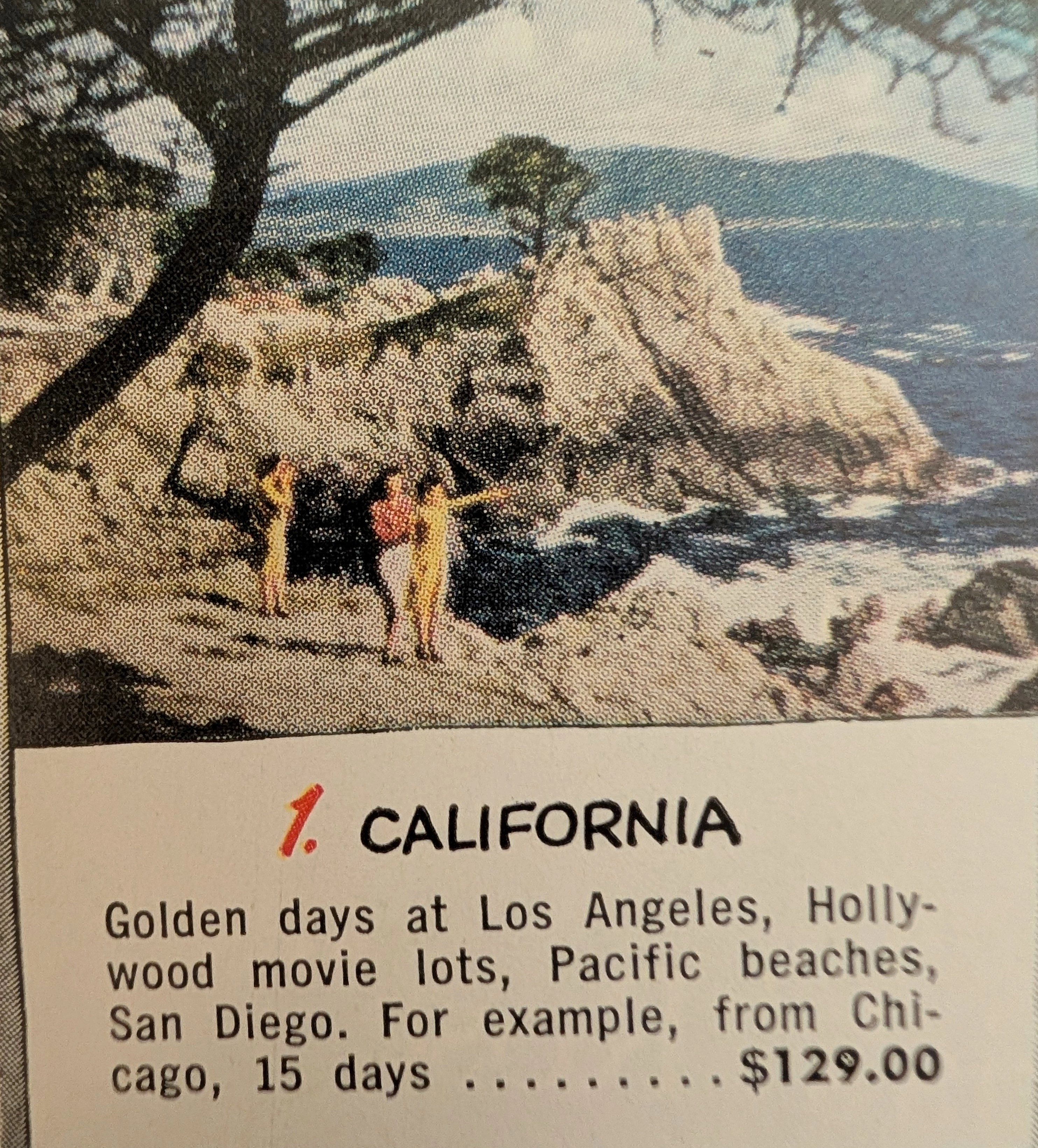 The Time Traveller's Dossier : Greyhound Scenicruiser - การทำให้ความหรูหราเป็นประชาธิปไตย — The Record Institute Journal