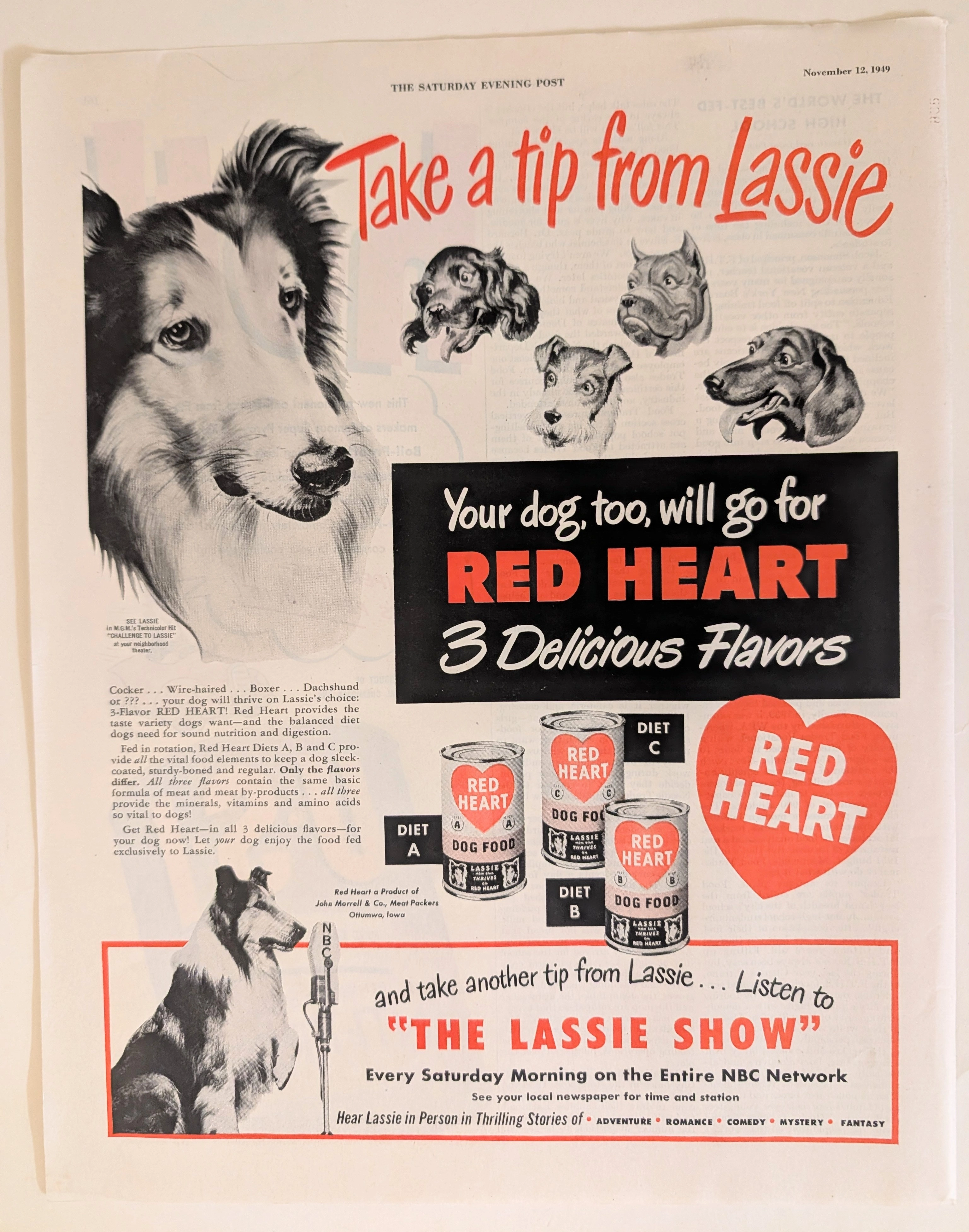 1949 Red Heart Dog Food Lassie Vintage Advertisement (1949) — Class A vintage Lifestyle & Vice