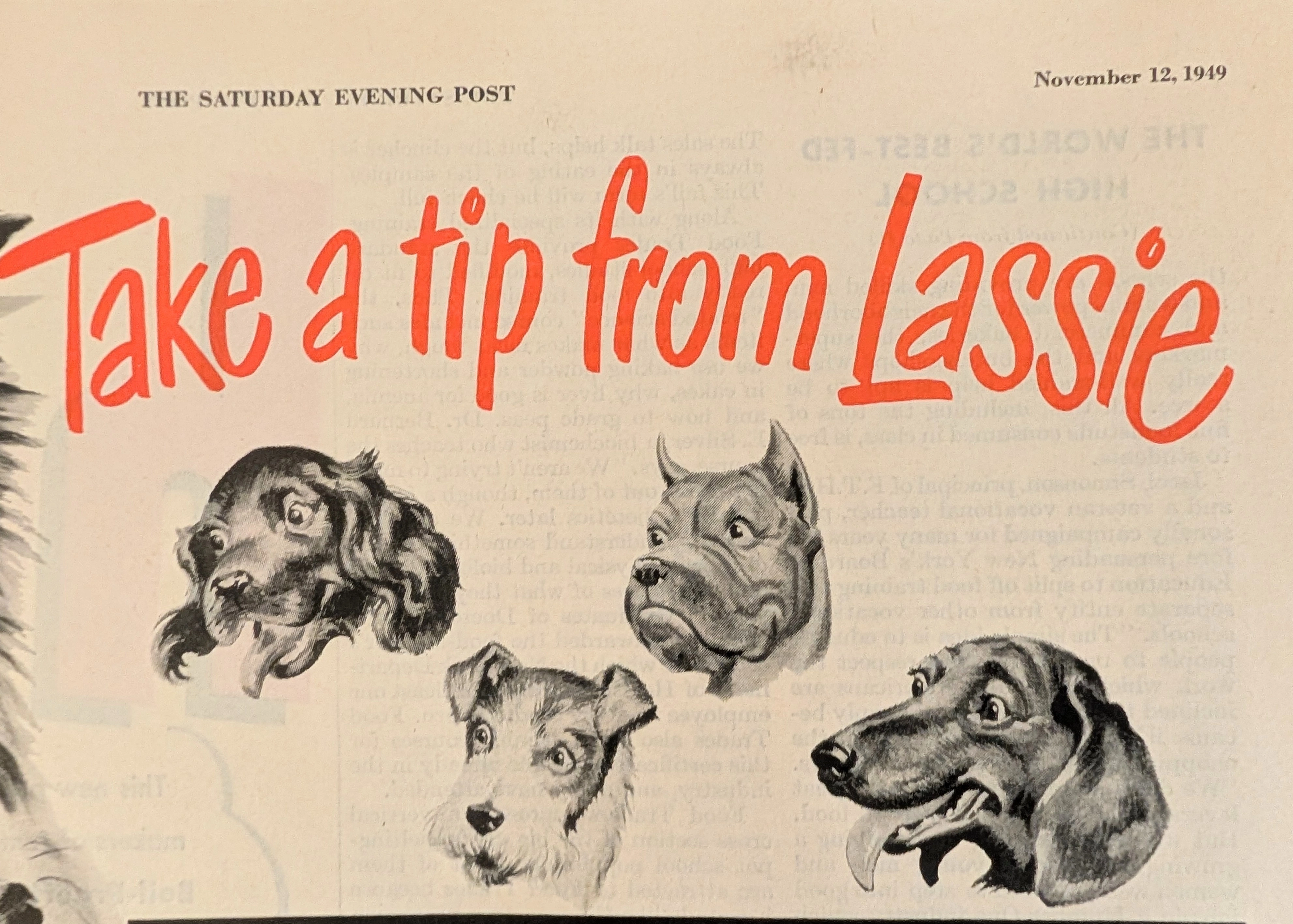 1949 Red Heart Dog Food Lassie Vintage Advertisement — Thumbnail 3