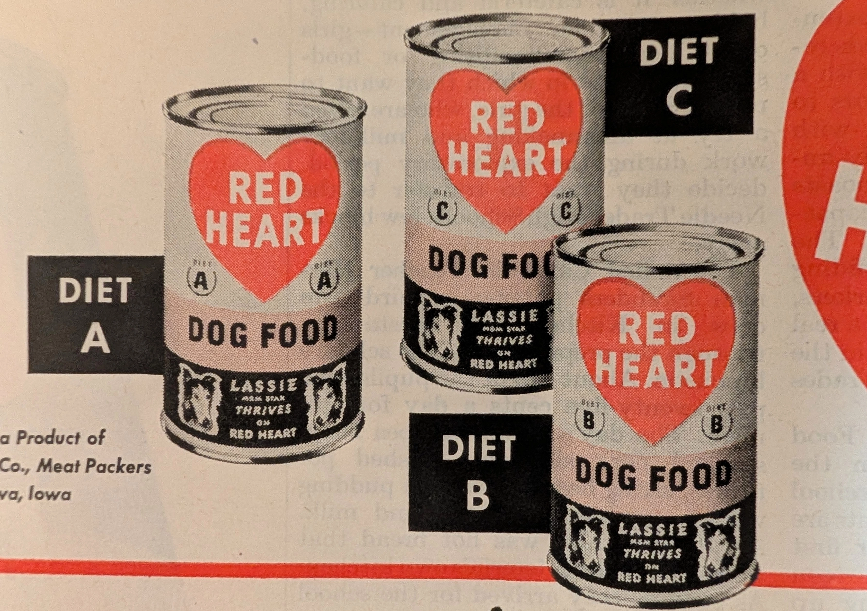 1949 Red Heart Dog Food Lassie Vintage Advertisement — Thumbnail 4