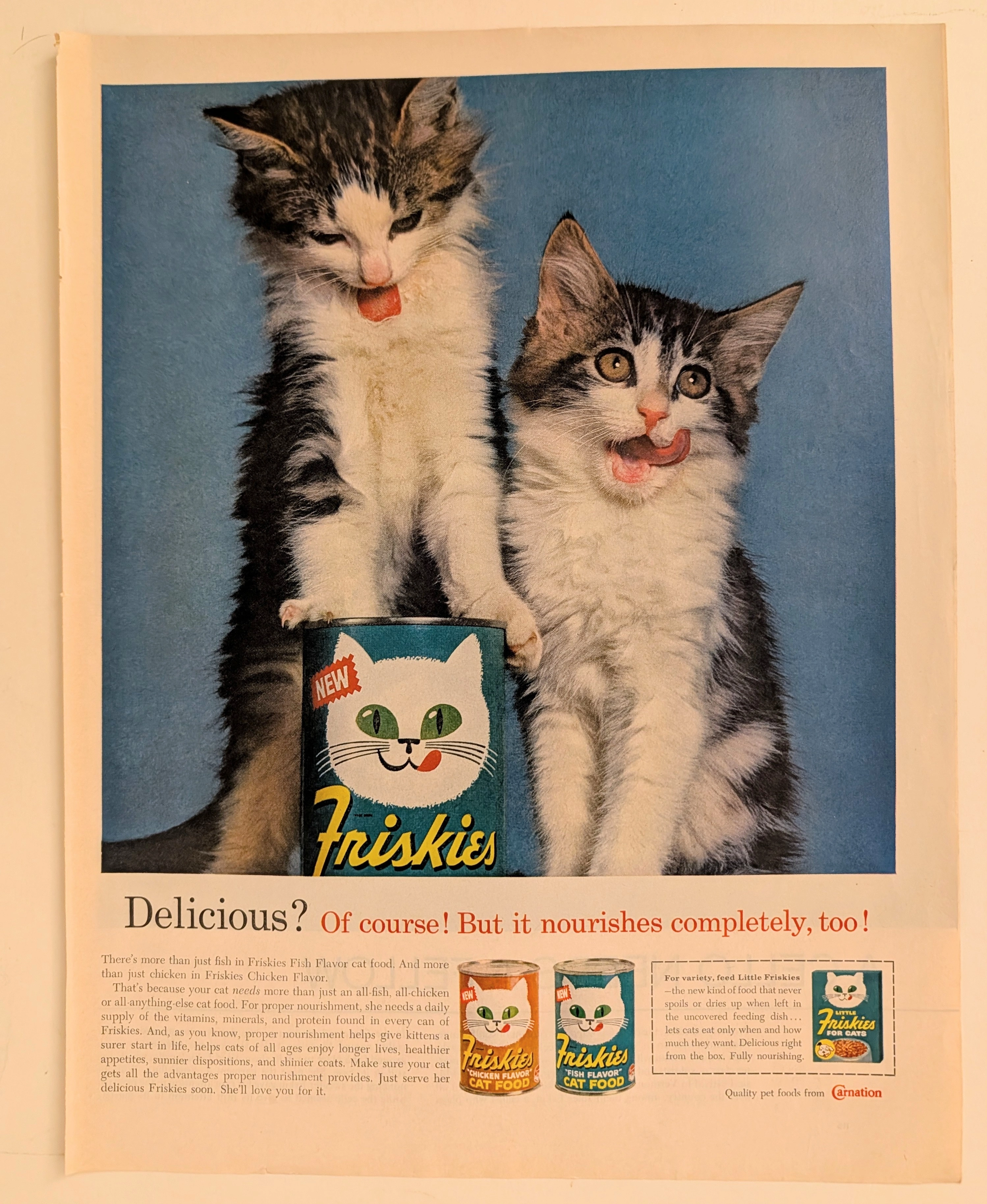 Publicité Vintage Nourriture pour Chats Friskies et Chatons (Vers 1959) — related by taxonomy
