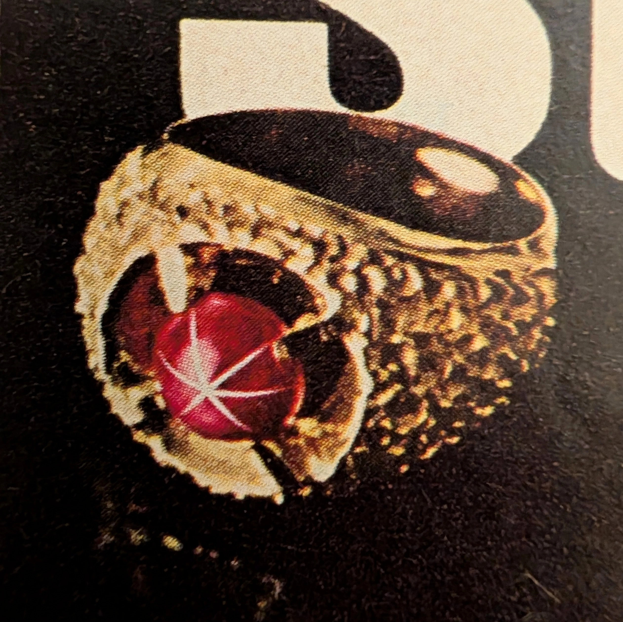 タイムトラベラーの調書：Lindé Star - 構築された星彩 — The Record Institute Journal