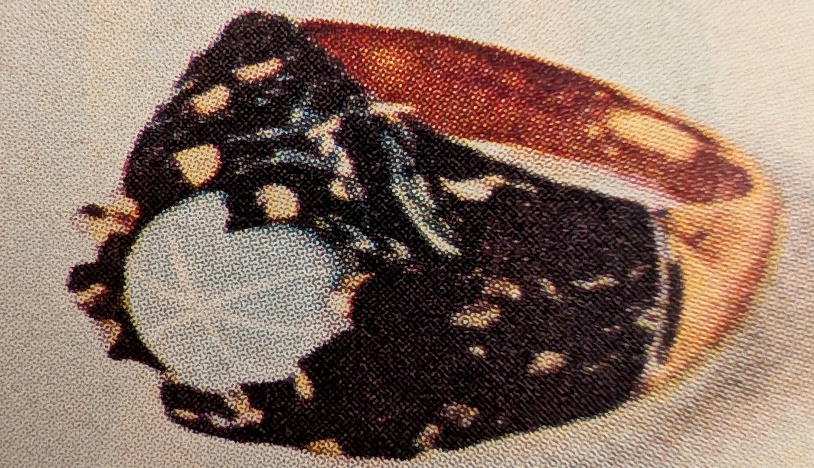 タイムトラベラーの調書：Lindé Star - 構築された星彩 — The Record Institute Journal