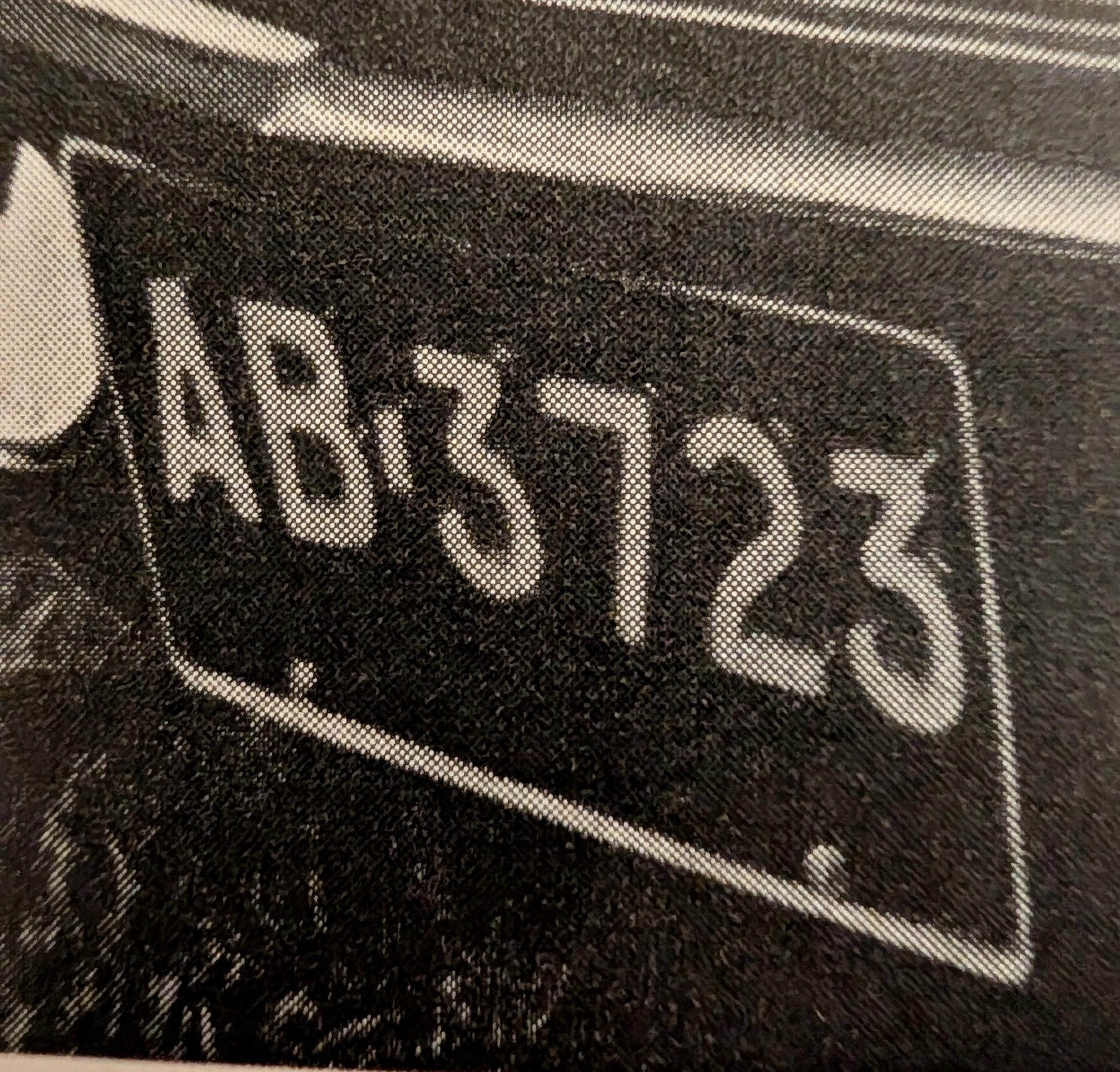 The Time Traveller's Dossier : 1969 Camaro SS & The Centennial Queen - A Societal Intersection — The Record Institute Journal