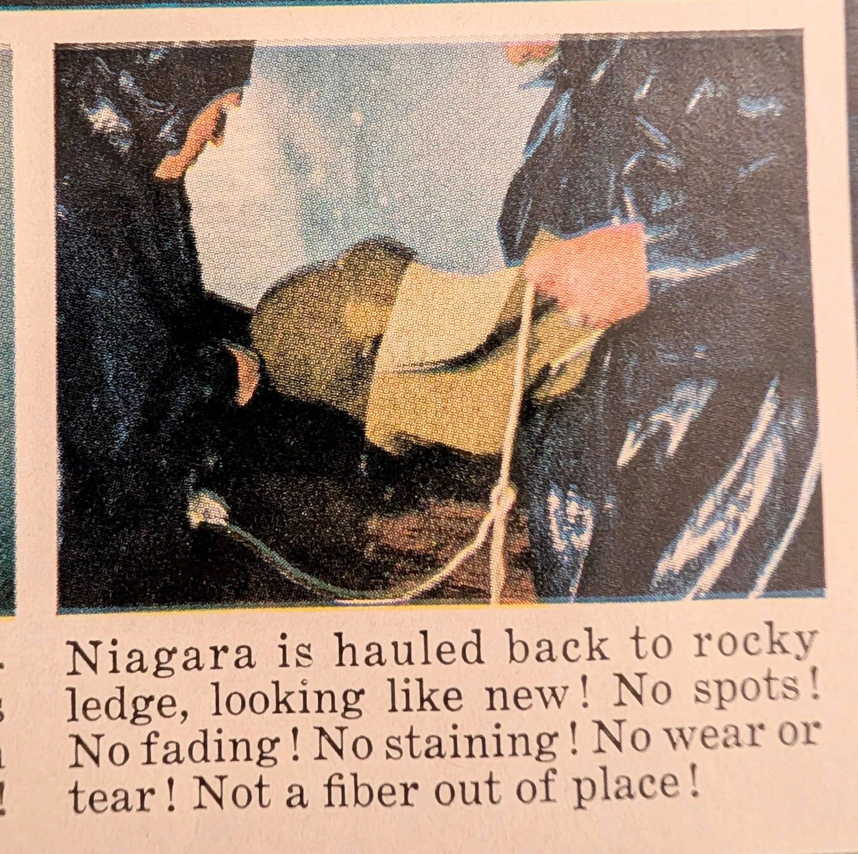 Le Dossier du Voyageur Temporel : Tapis Niagara - L'Aube des Publicités de Tests de Torture Extrêmes — The Record Institute Journal