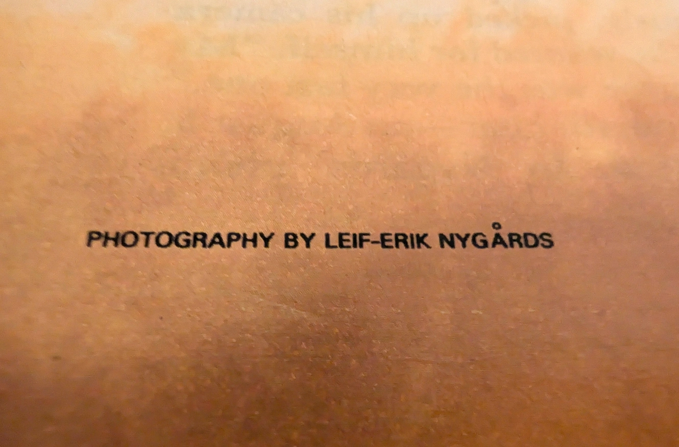 The Final Glimpse of a Legend: The History Behind Marilyn Monroe's Last Nude — detail 2