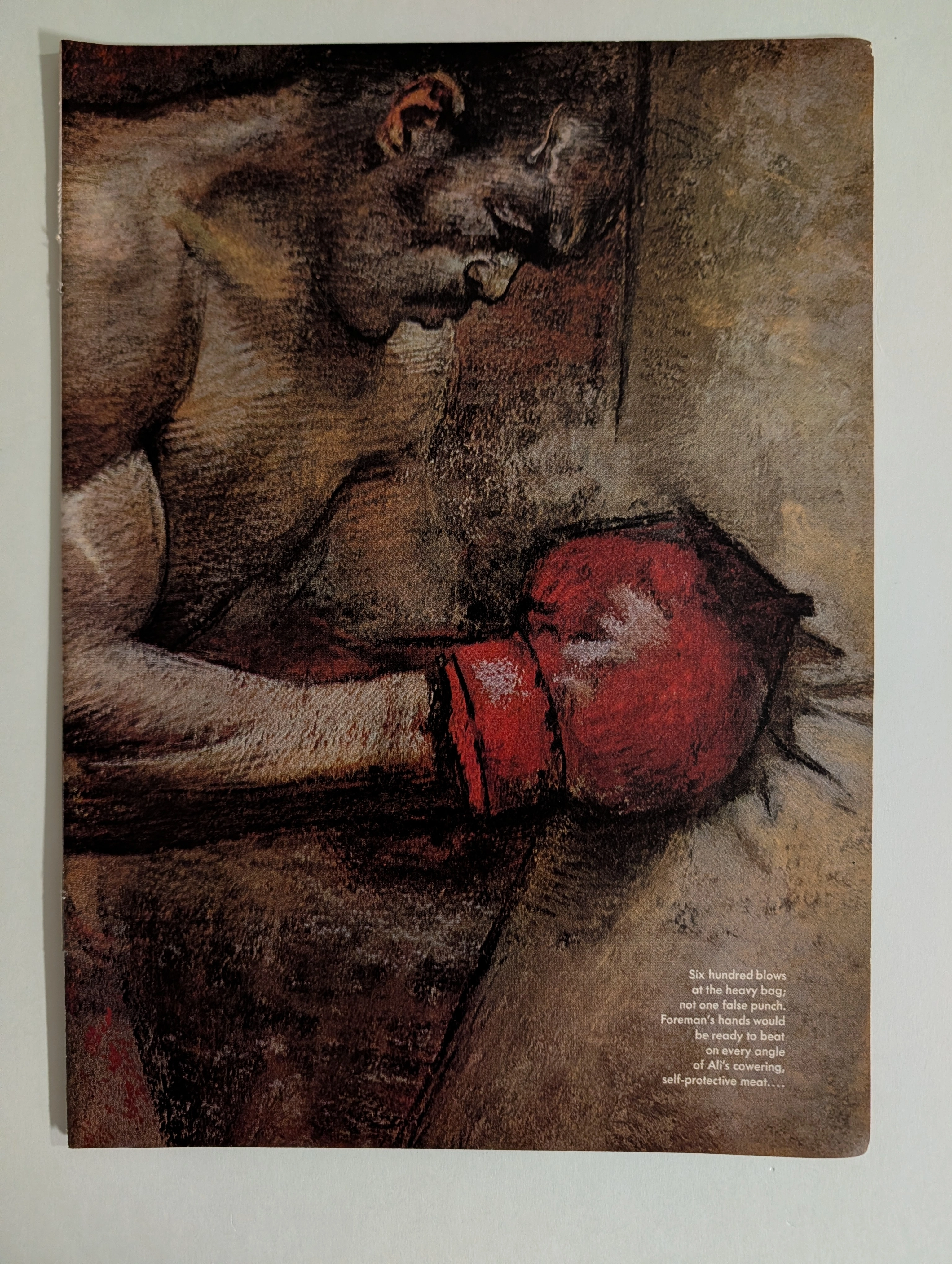 ภาพวาดประวัติศาสตร์ Norman Mailer 'The Fight' | George Foreman vs Ali 1974 | วิเคราะห์เชิงลึกและประเมินราคา — The Record Institute Journal