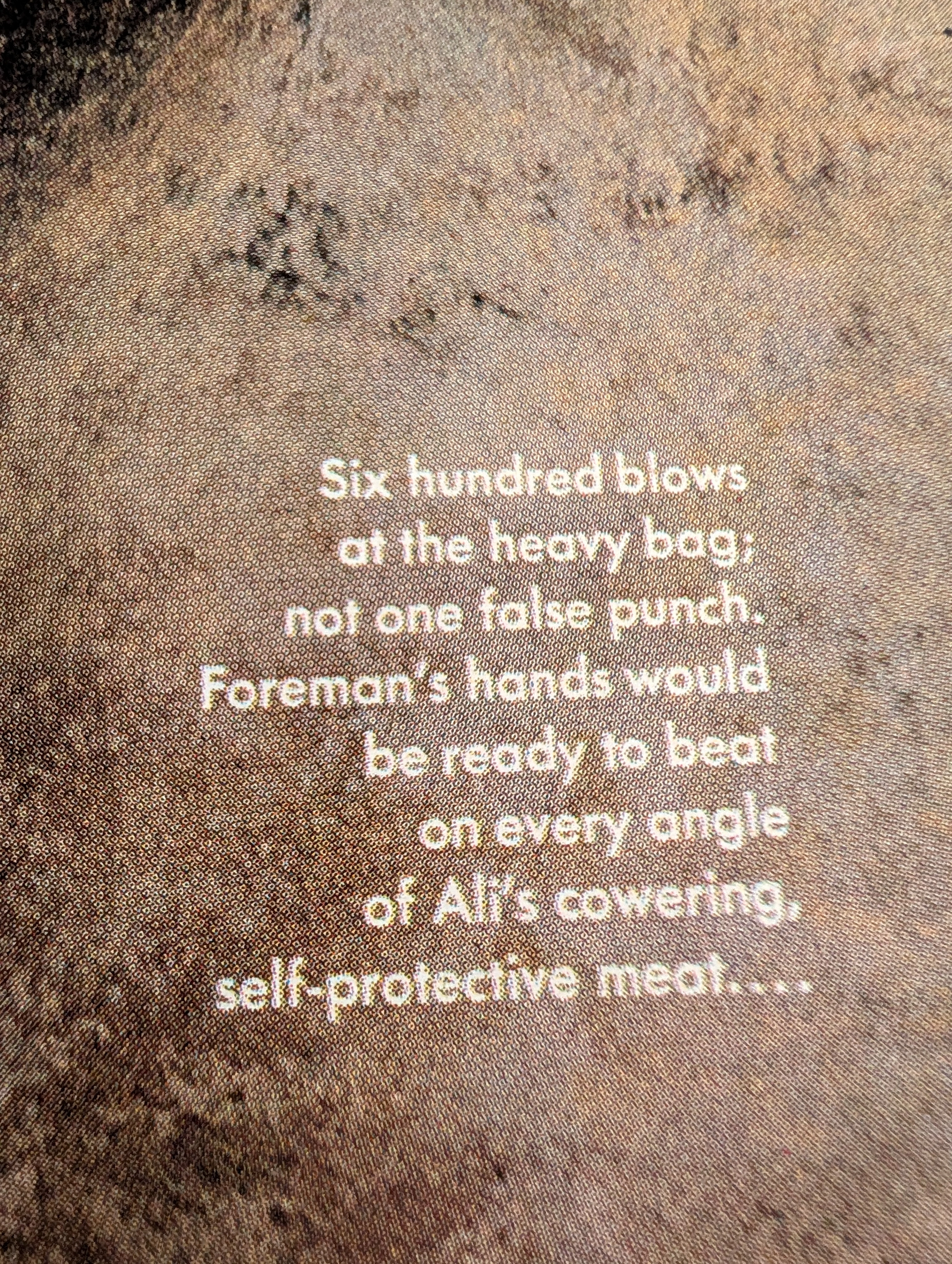 ภาพวาดประวัติศาสตร์ Norman Mailer 'The Fight' | George Foreman vs Ali 1974 | วิเคราะห์เชิงลึกและประเมินราคา — detail 2