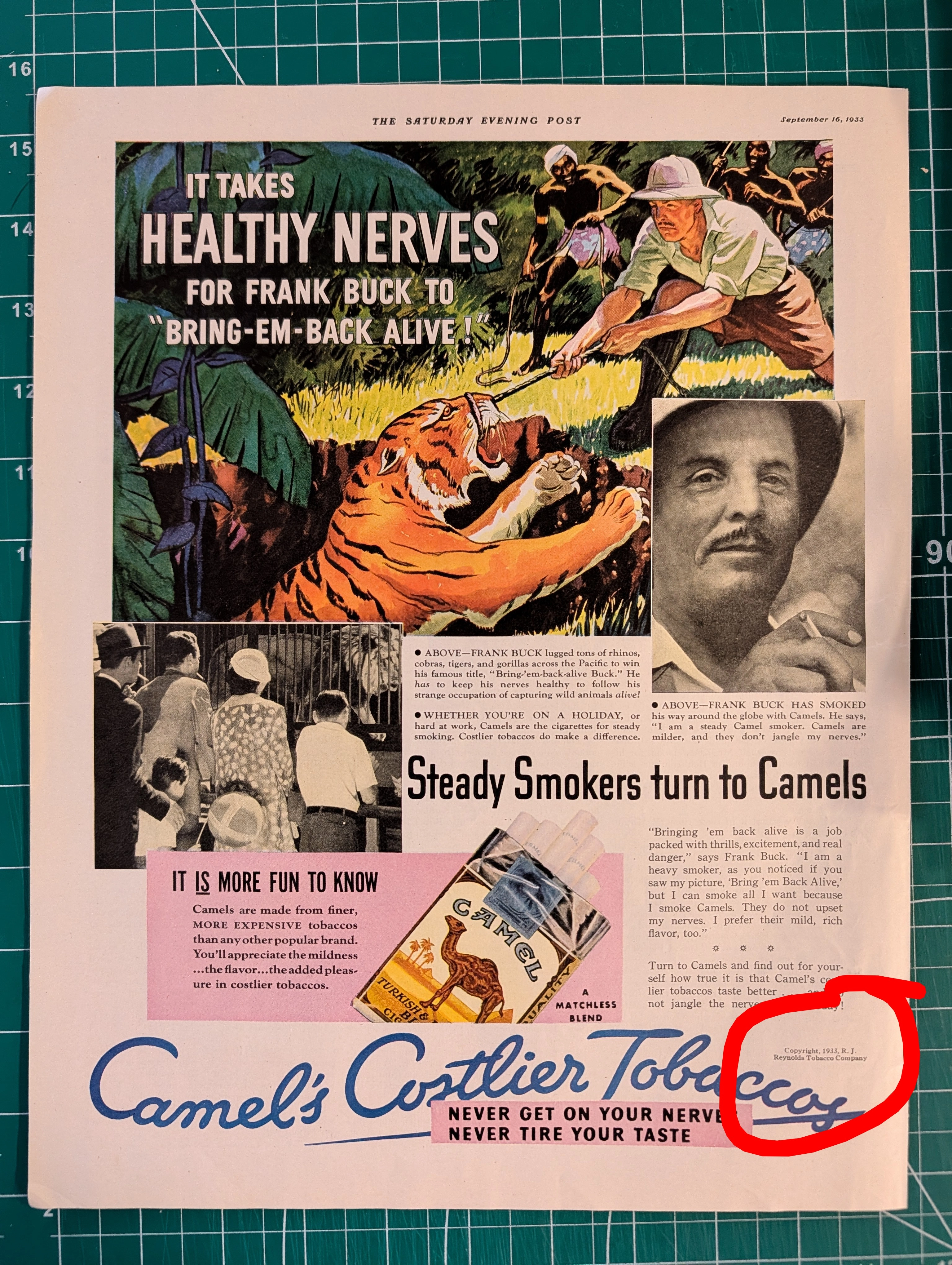 ข้อความตัวเล็กในมุมโฆษณา: ประวัติศาสตร์ที่ถูกมองข้าม — The Record Institute Journal