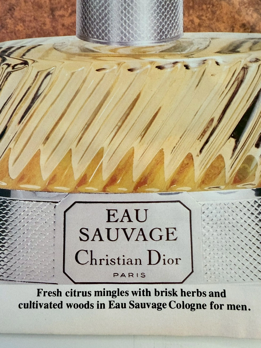 시간 여행자의 기록: 우아함의 여명과 사라진 1,500달러의 성배 — detail 2