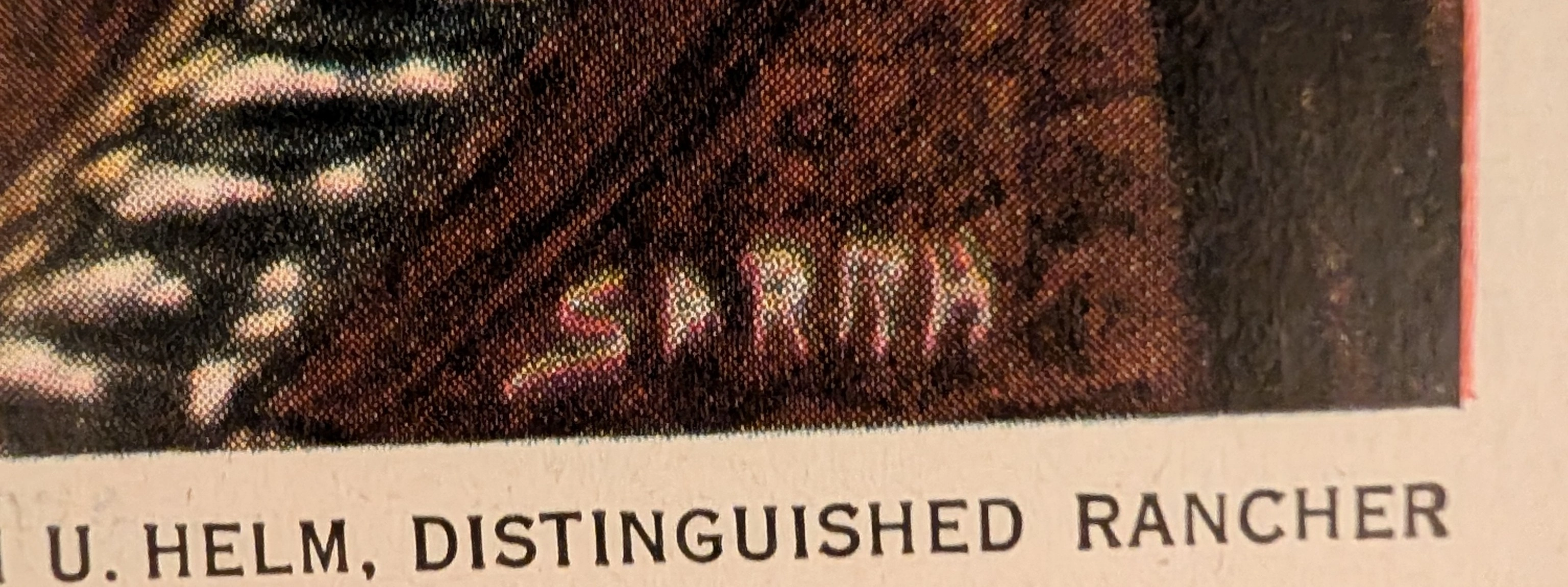 THE TIME TRAVELER'S DOSSIER: 지위의 상품화와 우아한 환상의 예술 — detail 2