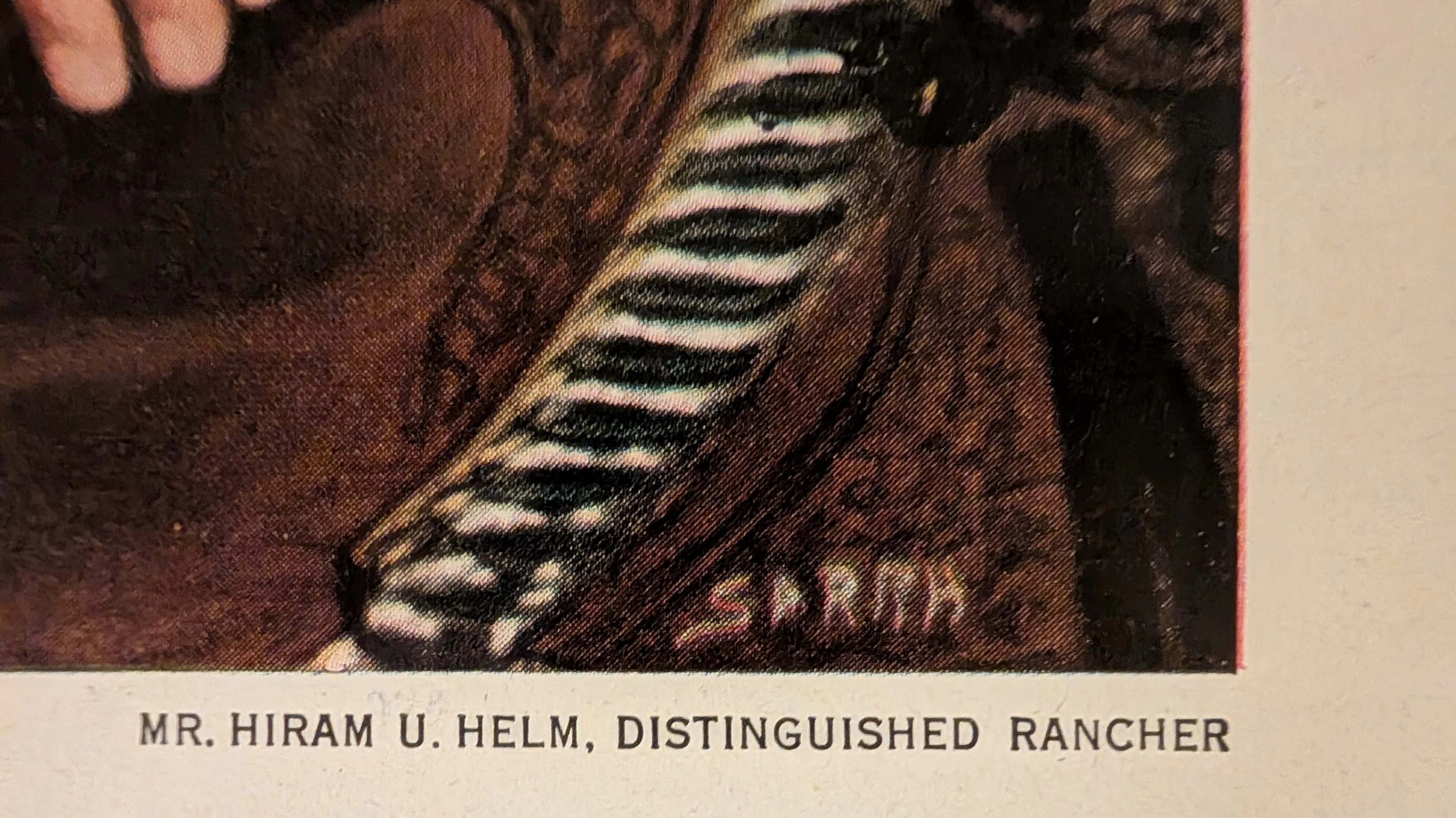 THE TIME TRAVELER'S DOSSIER: 지위의 상품화와 우아한 환상의 예술 — detail 3