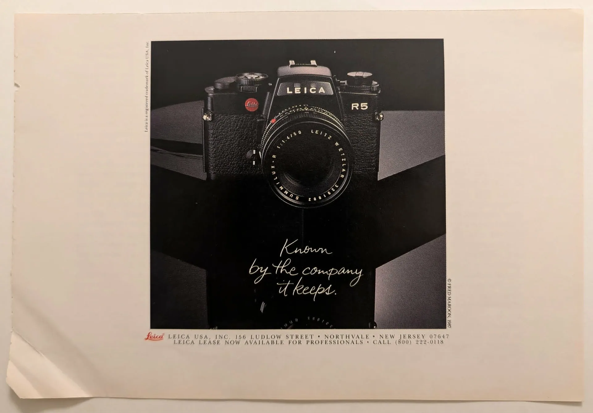 1987 Leica R5 Camera Vintage Advert — The Record Institute