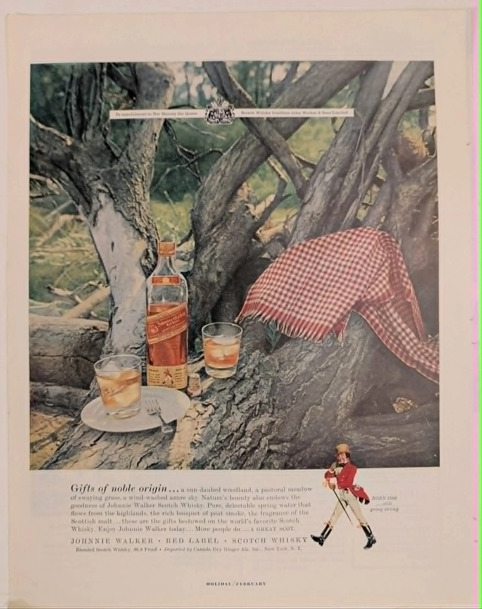 1950s Johnnie Walker Red Label Scotch Whisky vintage advertisement featuring a bottle and glasses on a log in a woodland setting with the Striding Man illustration.