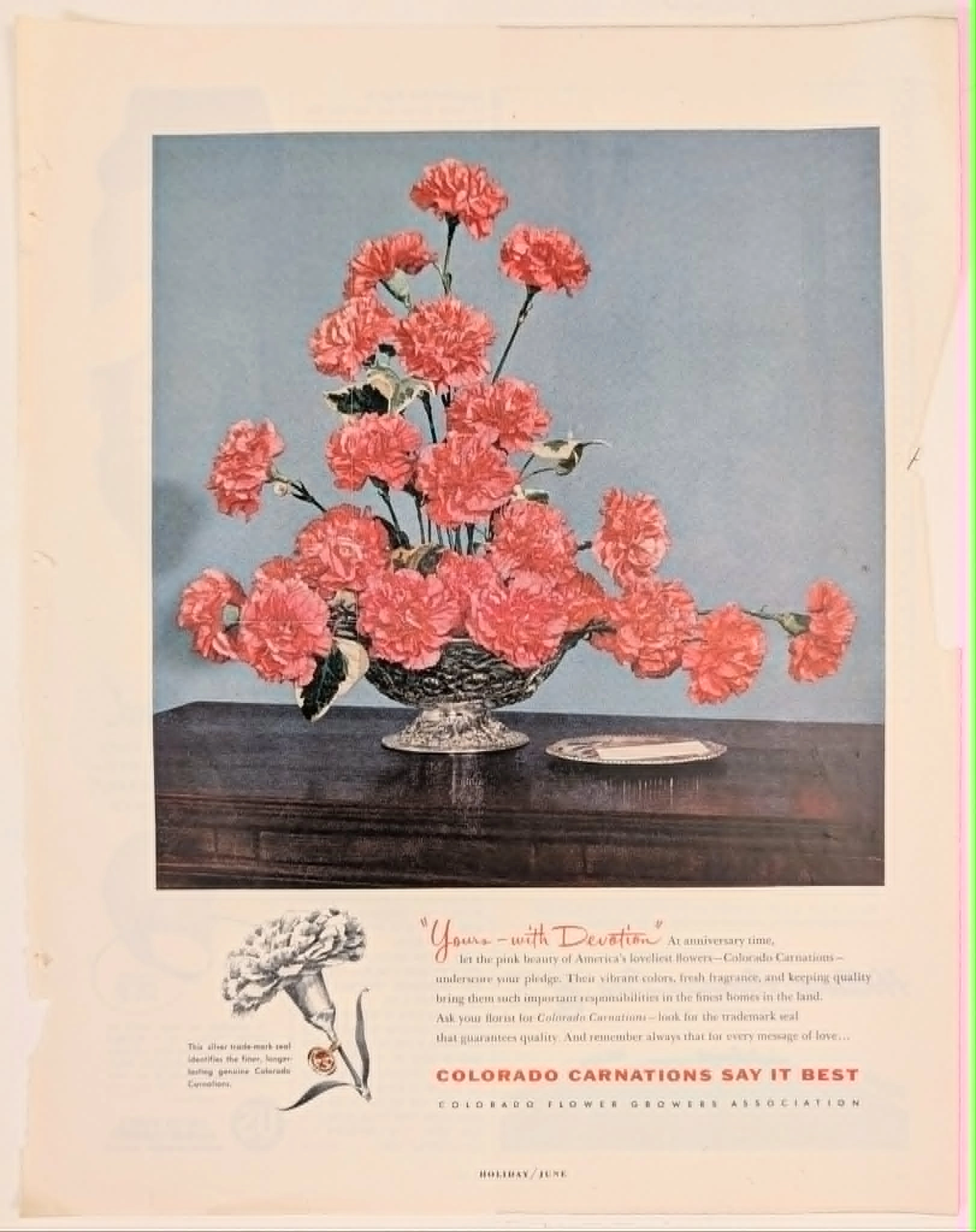 1954 Colorado Flower Growers Association Colorado Carnations vintage advertisement.