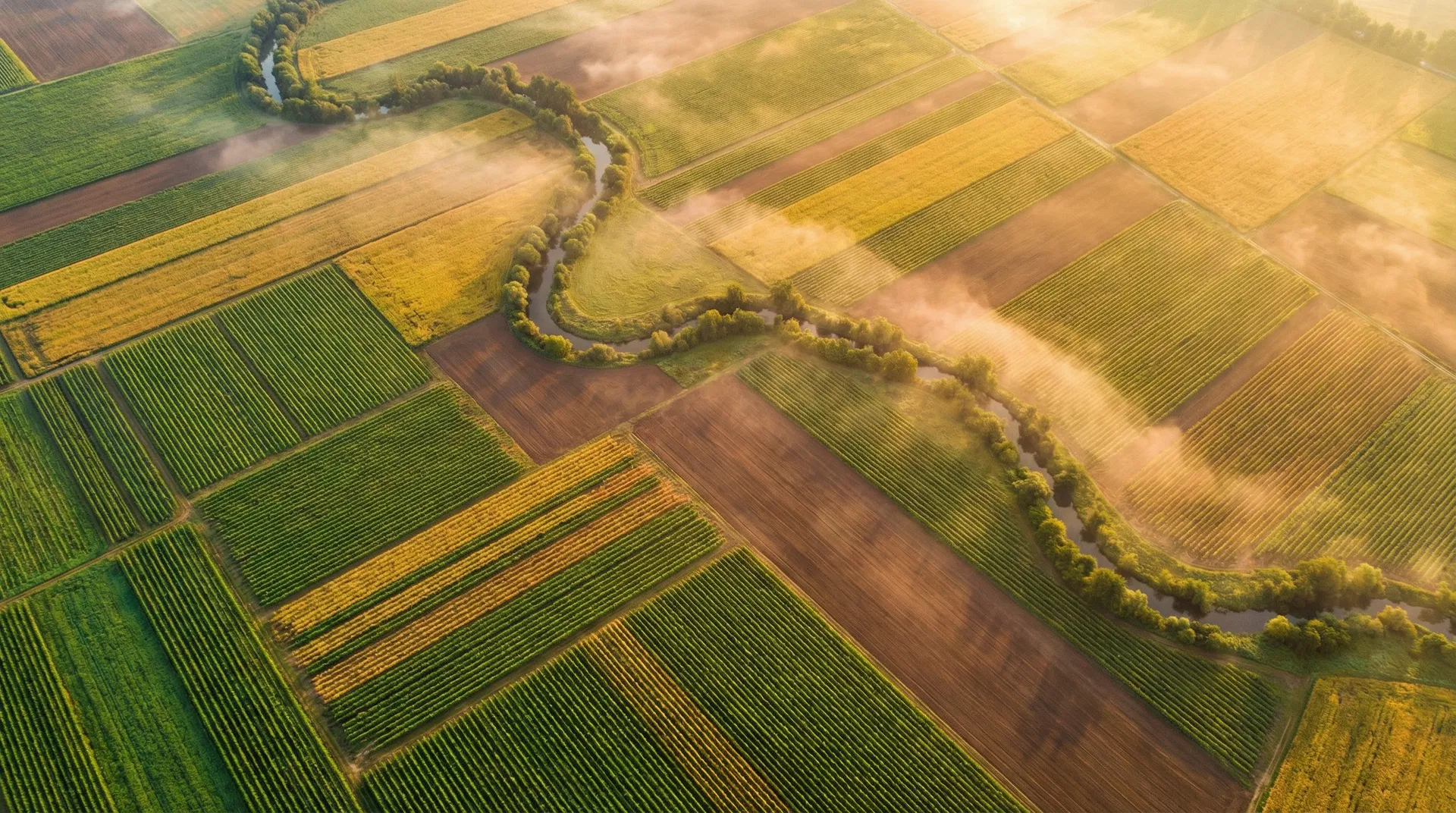 Aerial view of geometric agricultural fields at sunrise with winding river and morning mist