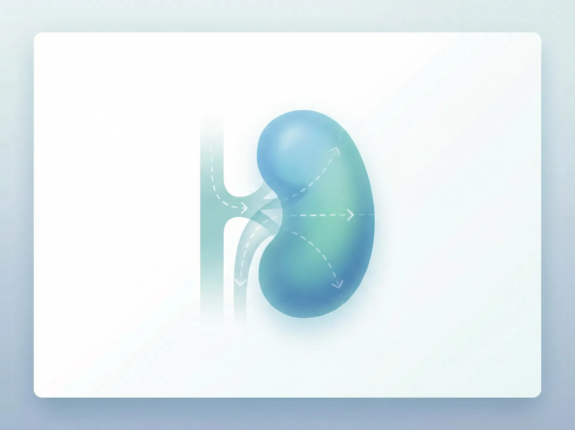 زراعة الكلى