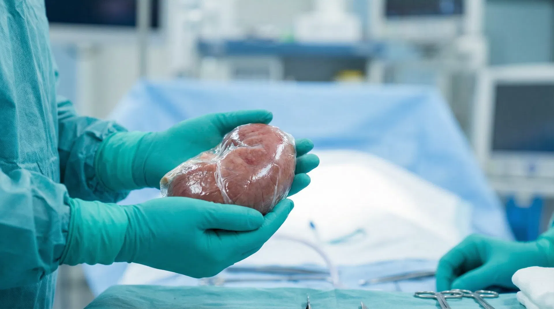 زراعة الكلى