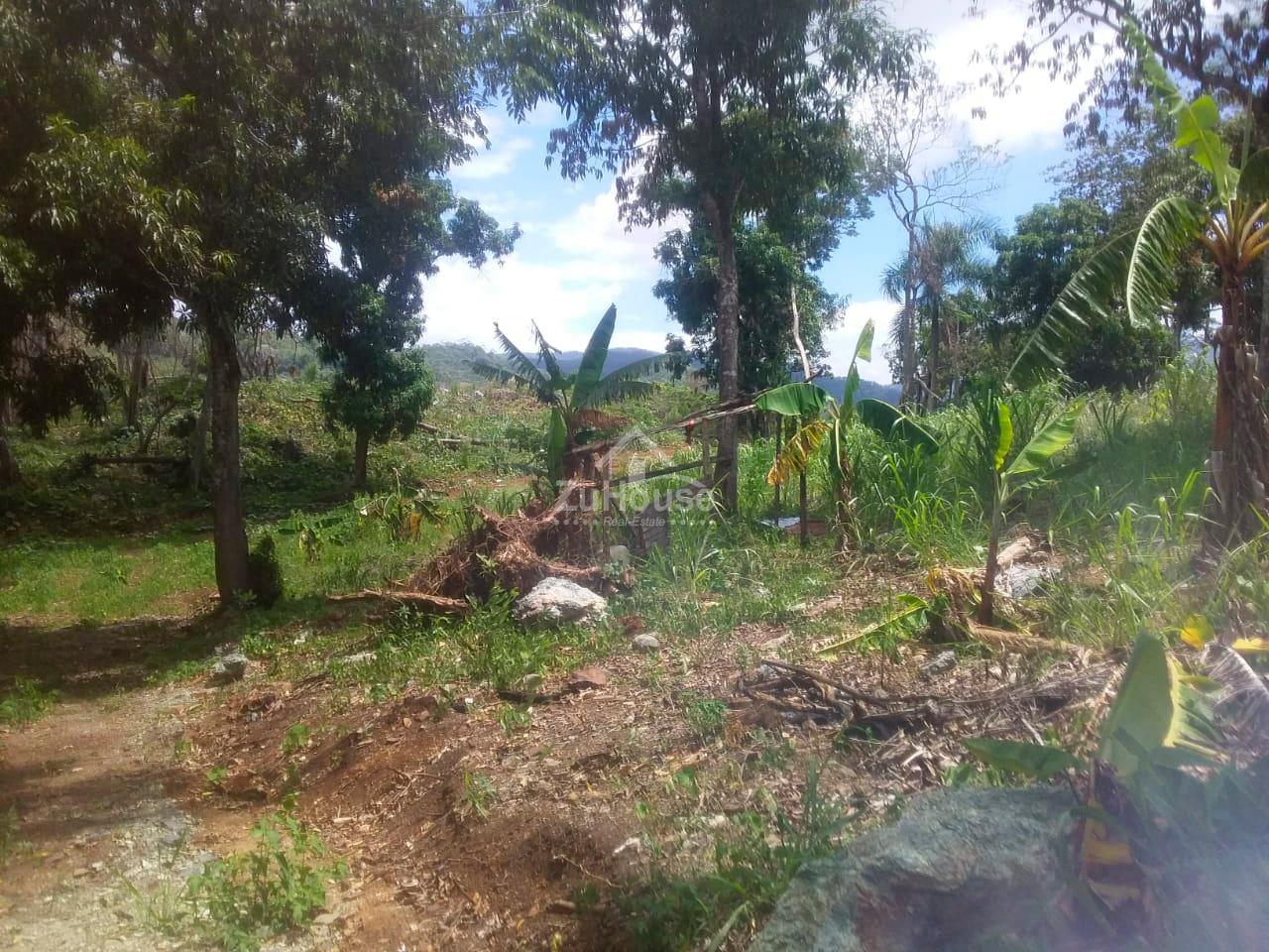 Land for sale in Guaigüí, La Vega WPS08