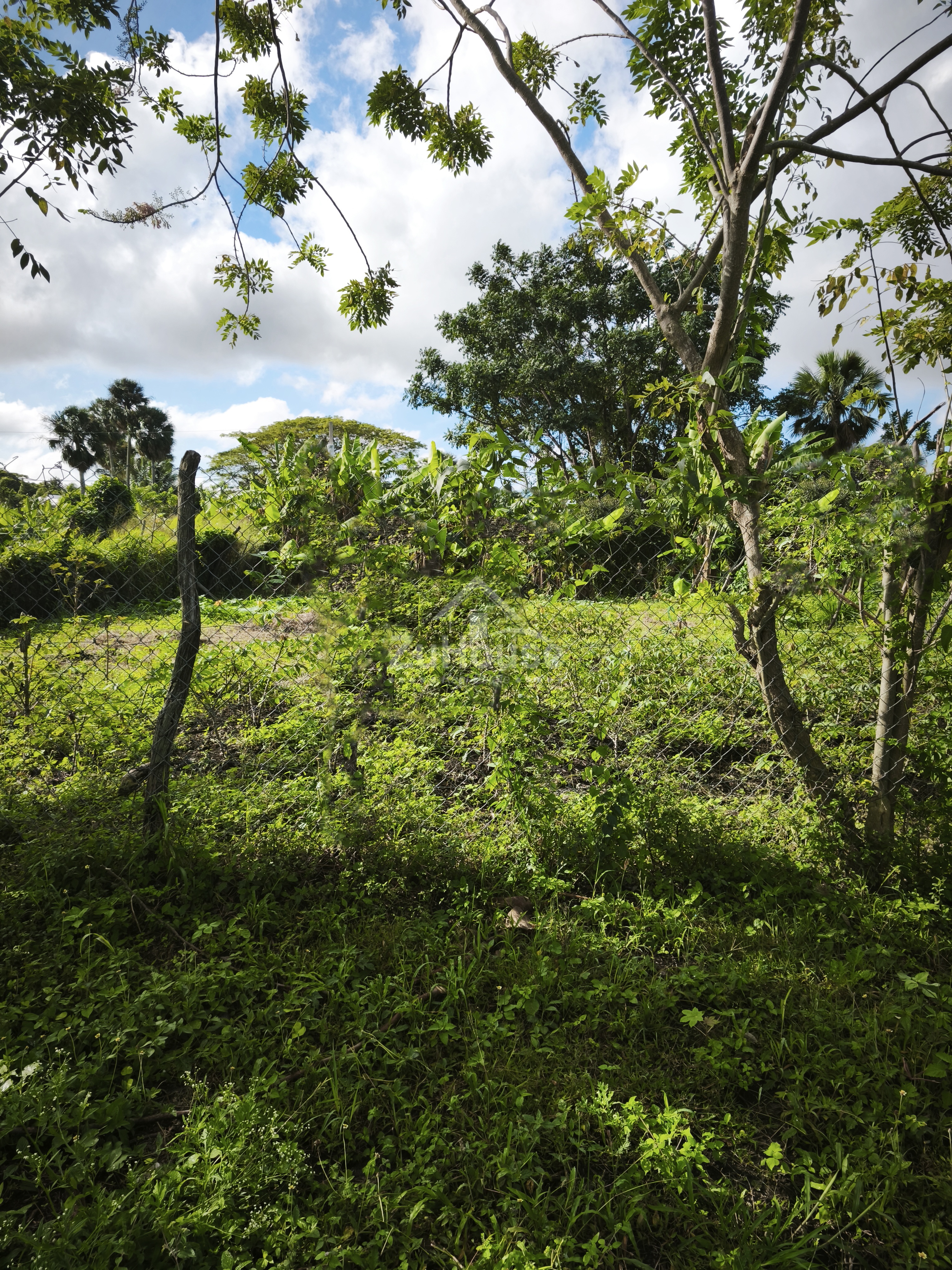362 Square Meter Lot for Sale in Santiago, Gurabo WPS22