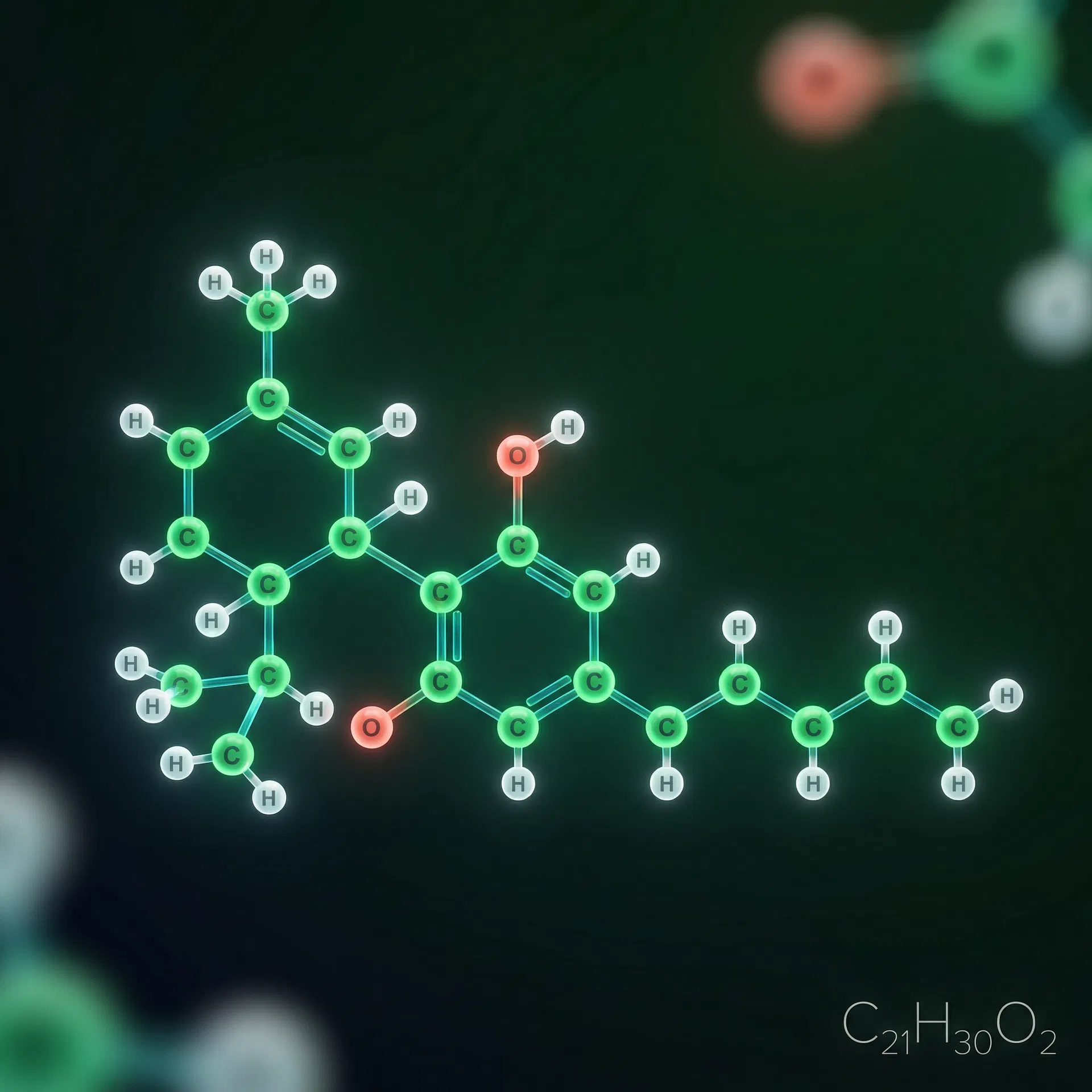 The Endocannabinoid System Explained