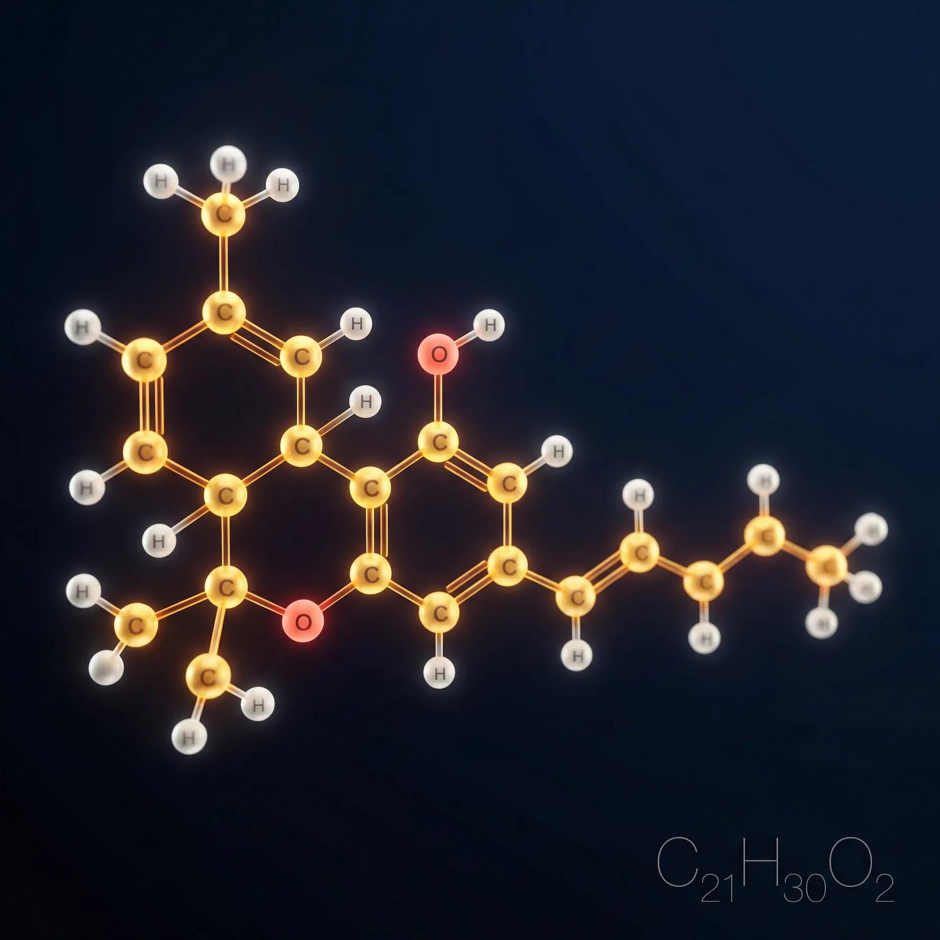 From Ancient Medicine to Modern Pharmacy