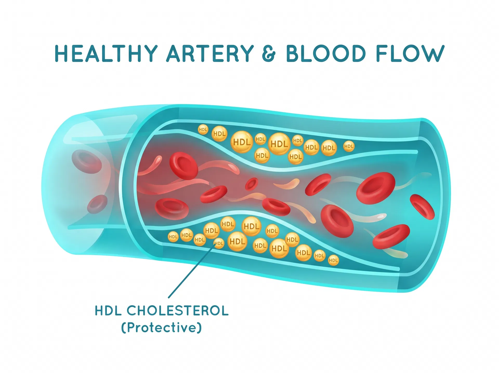 The Only Natural Cholesterol-Lowering Non-Medicine. The Cleveland Clinic Says It Can Replace a Statin.