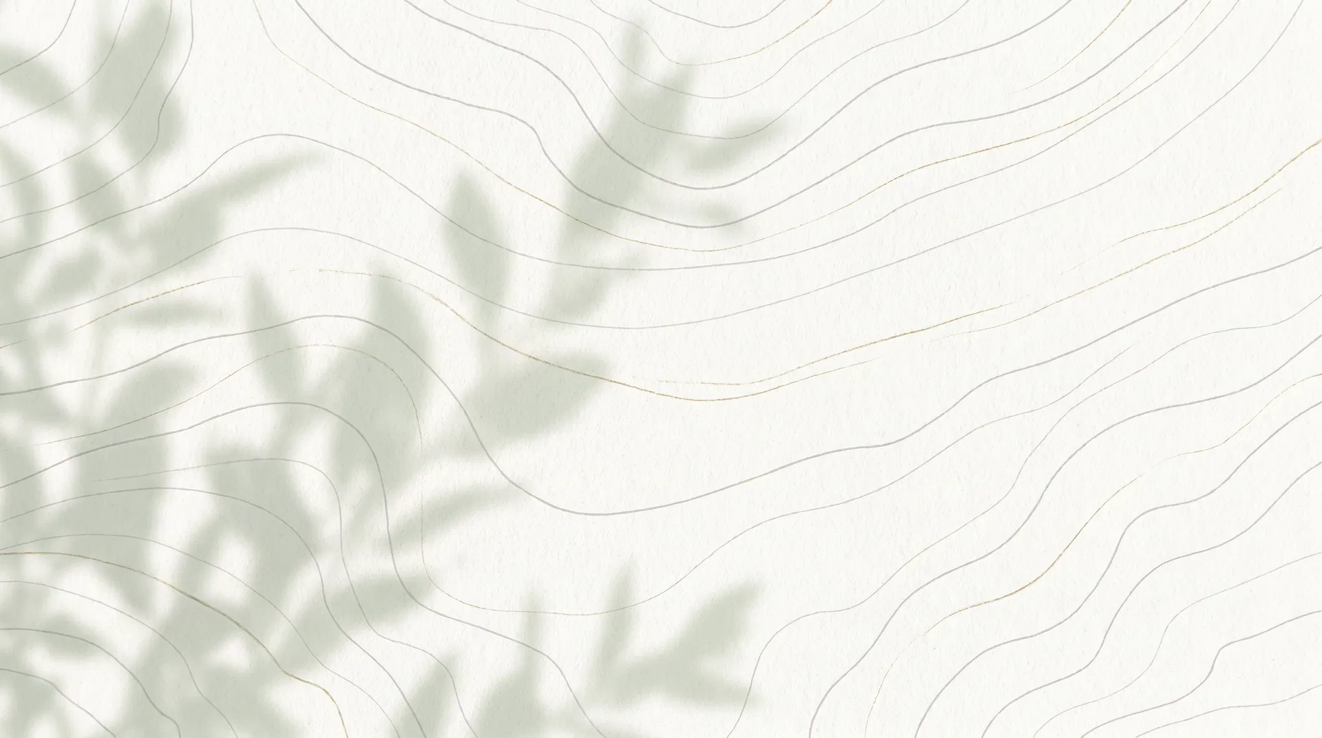 Soft sage and stone abstract evidence background texture