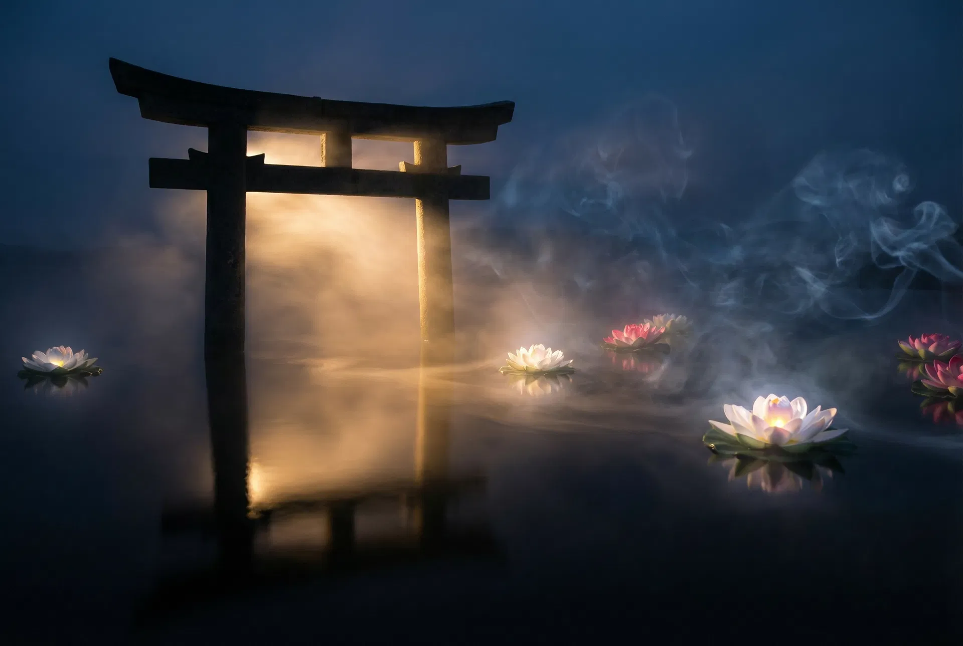 開竅のビジュアル