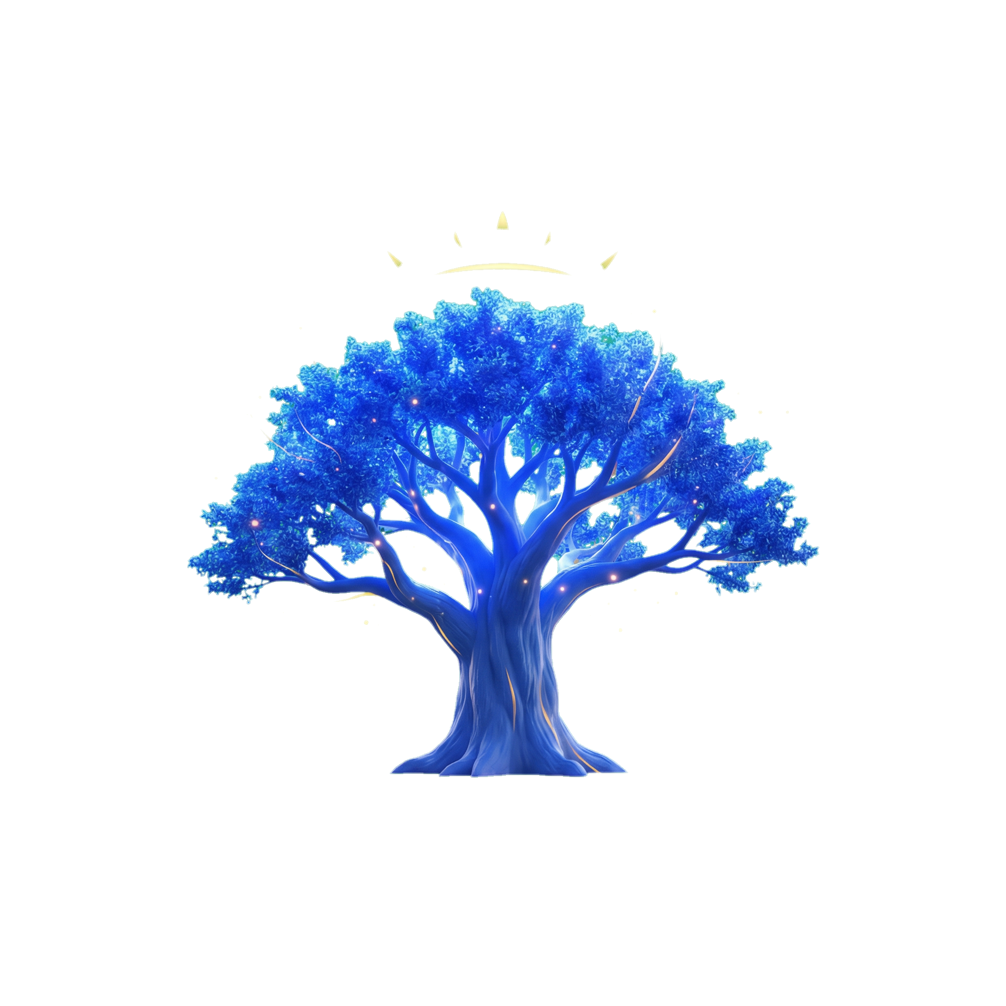 Authority package illustration