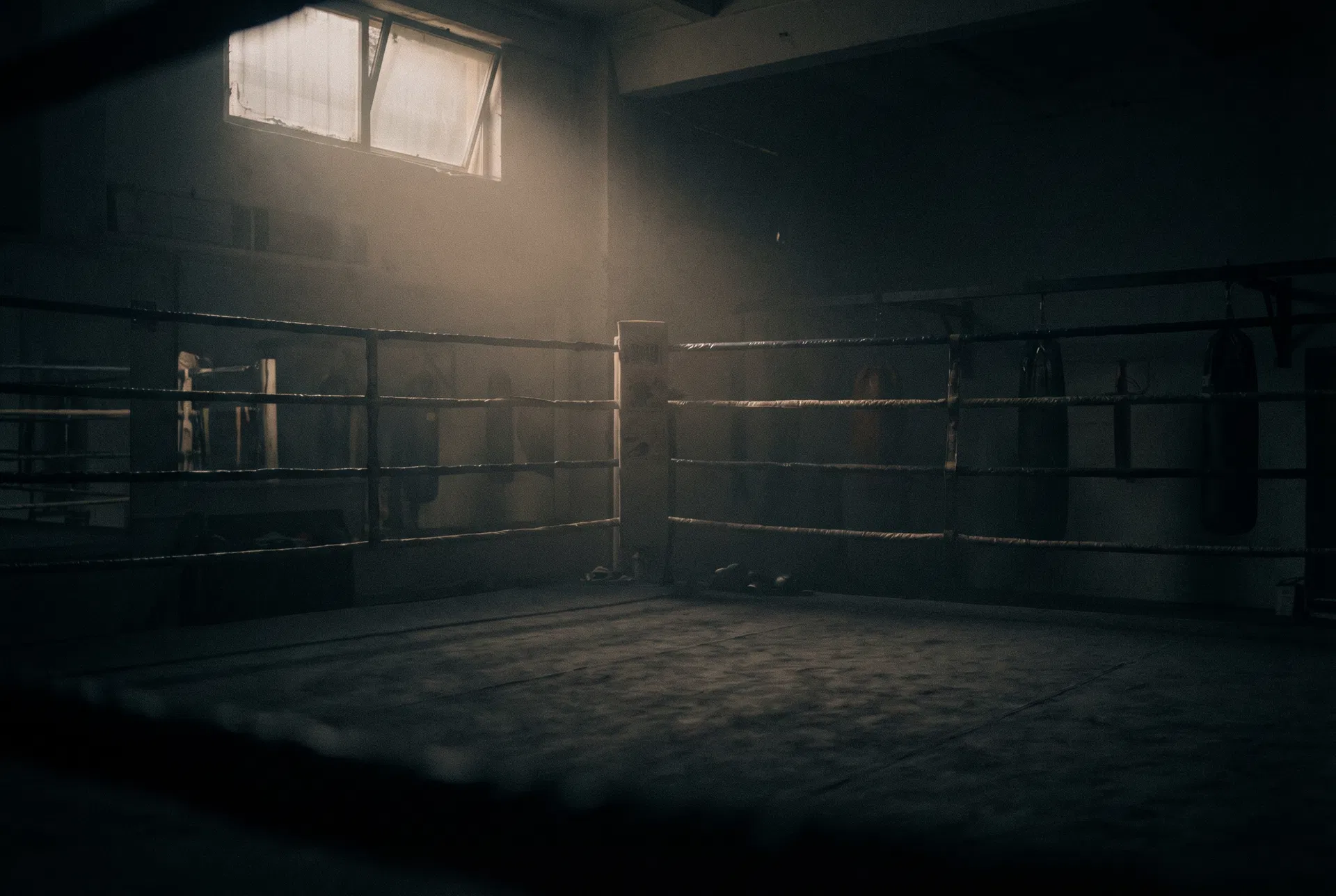 The Shadow — light and dark