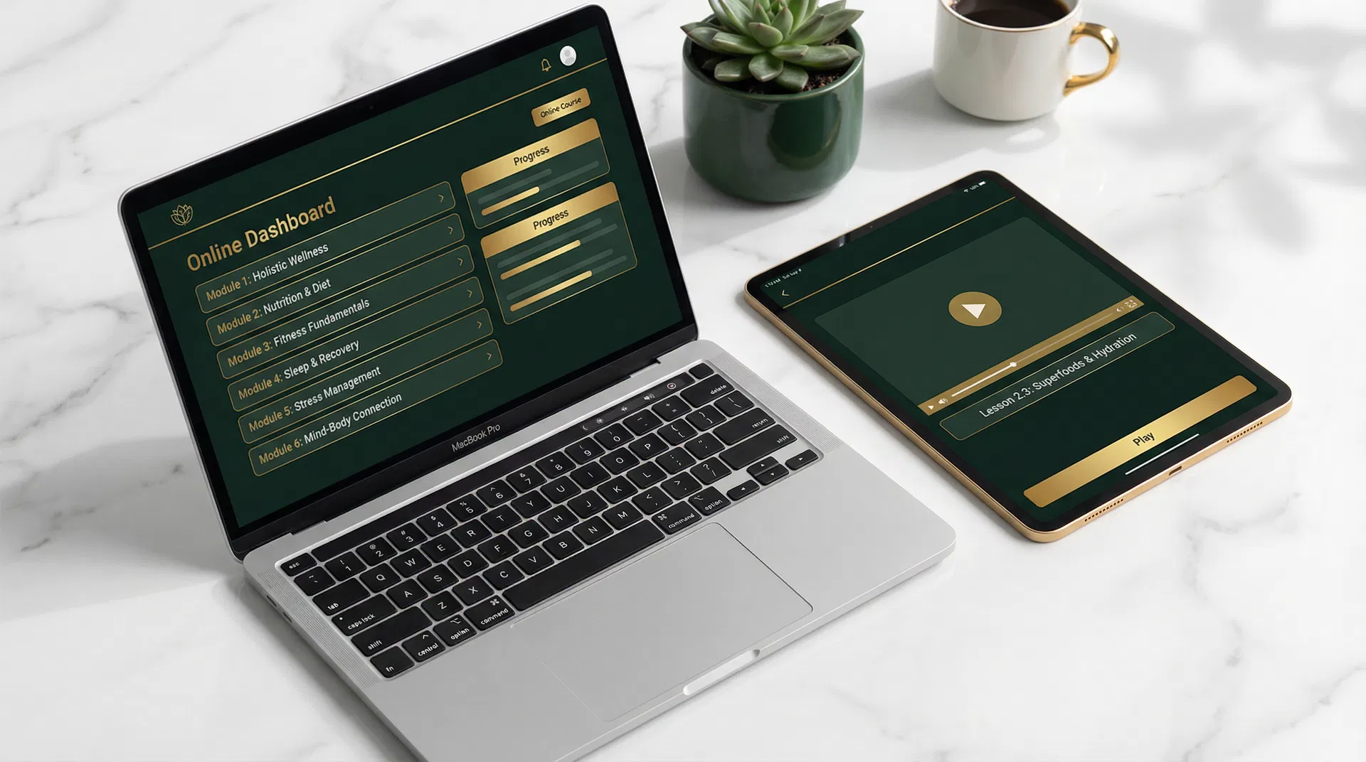 MSI – Mapa da Saúde Inteligente - Plataforma do Curso