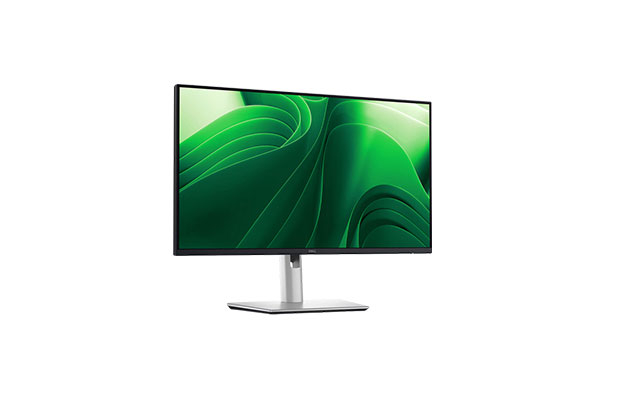 Dell Pro 24 P2425D Plus Monitor (2560 x 1440 at 100Hz, HDMI/DP) 3years 2