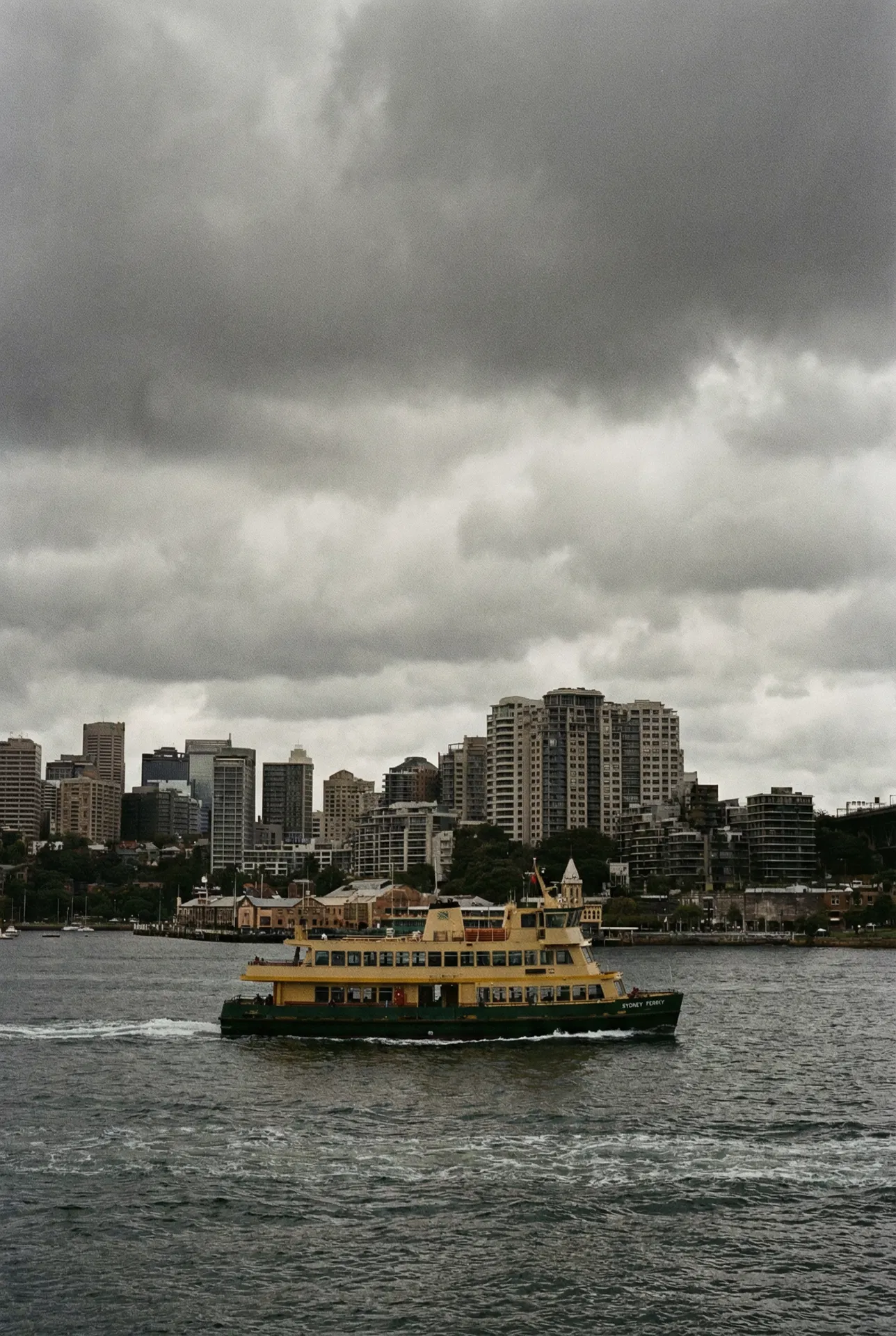 Passionate partners.