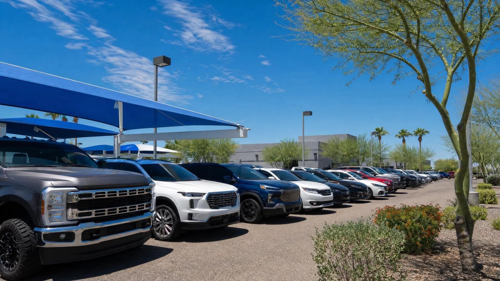 Pre-owned vehicles arranged on a dealership lot in Mesa