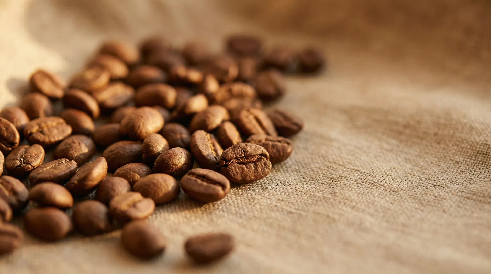 Premium coffee beans