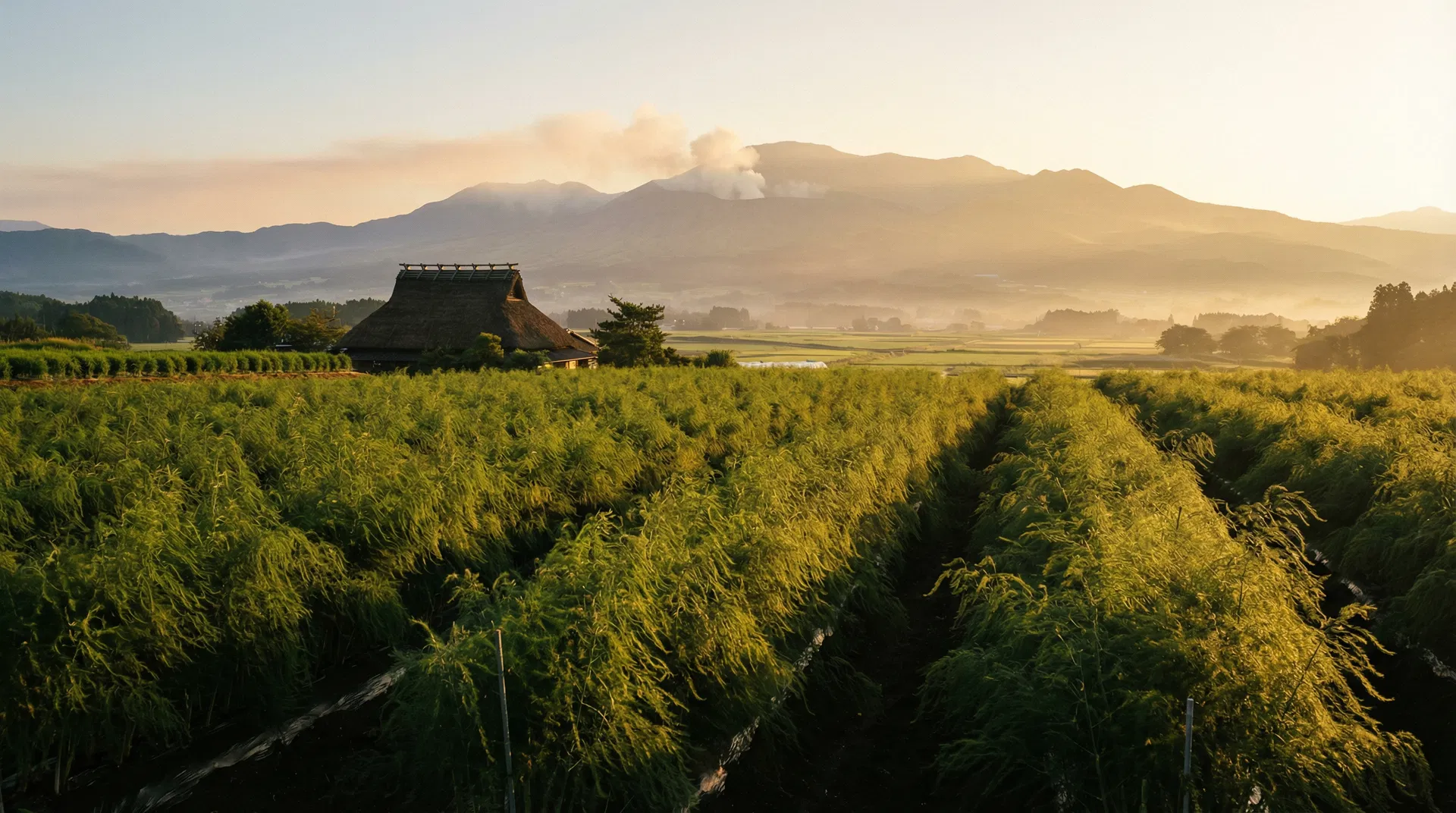 今日も私を信じて進む日
