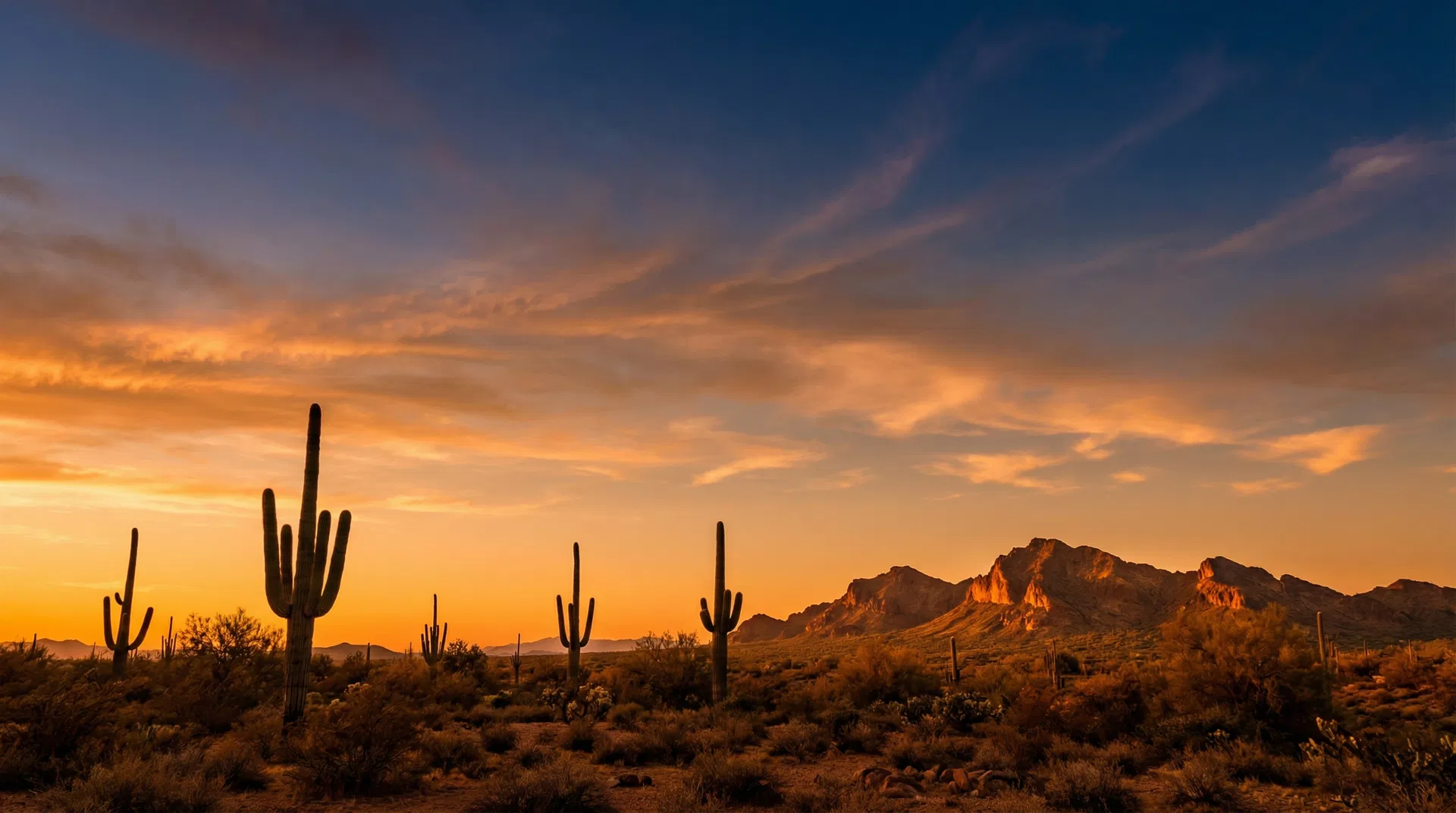 Scottsdale desert landscape at golden hour