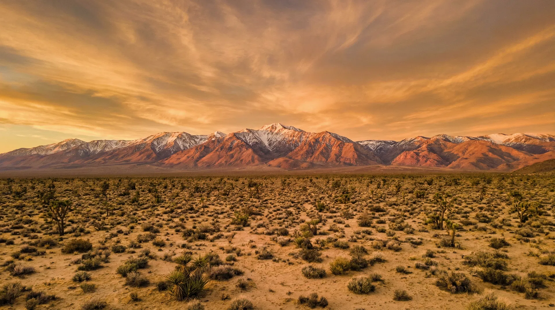 Aerial view of California City desert lots at sunset
