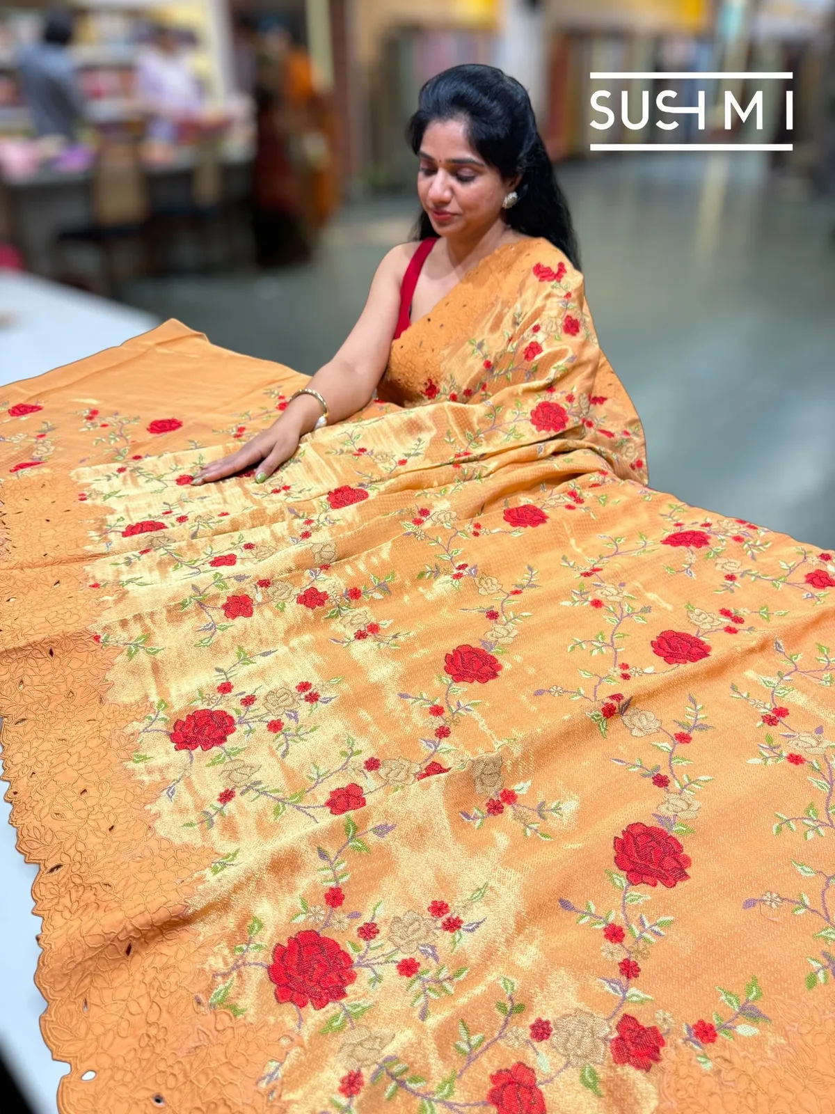 Banarasi Tissue Saree with petite point embroidery — Image 3