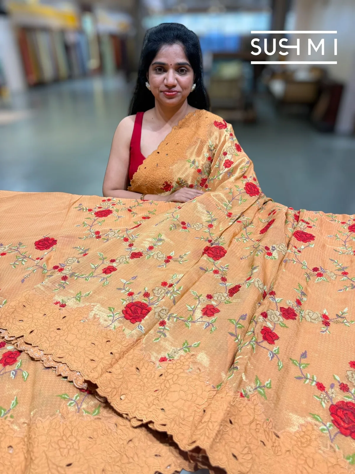Banarasi Tissue Saree with petite point embroidery