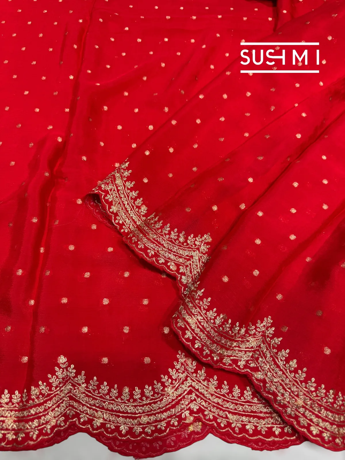 Chilli Red Banarasi Chinnon with fusion blouse  — Image 5