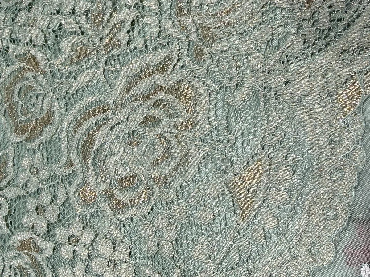 Sage Green Pure Organza Saree with embroidery  — Image 4