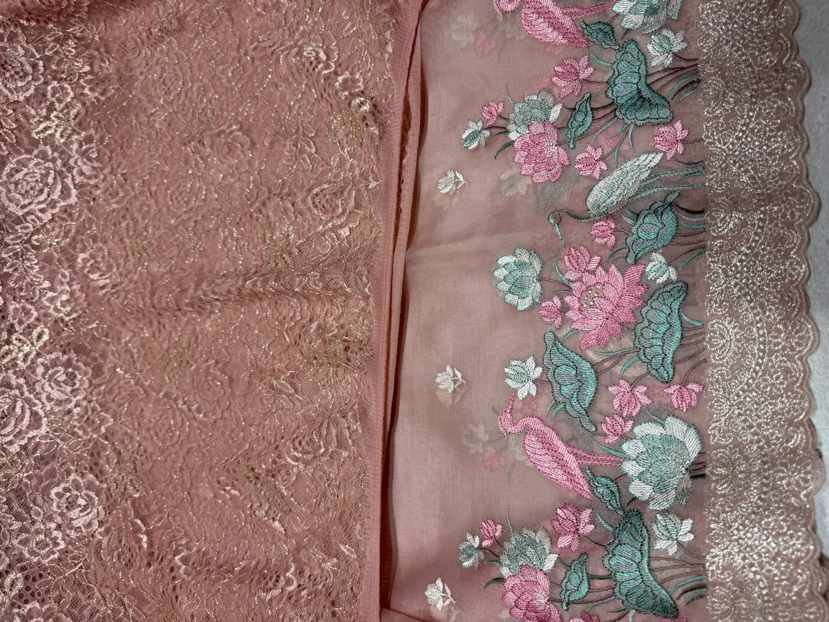 Onion Pink Pure Organza Saree with embroidery  — Image 4