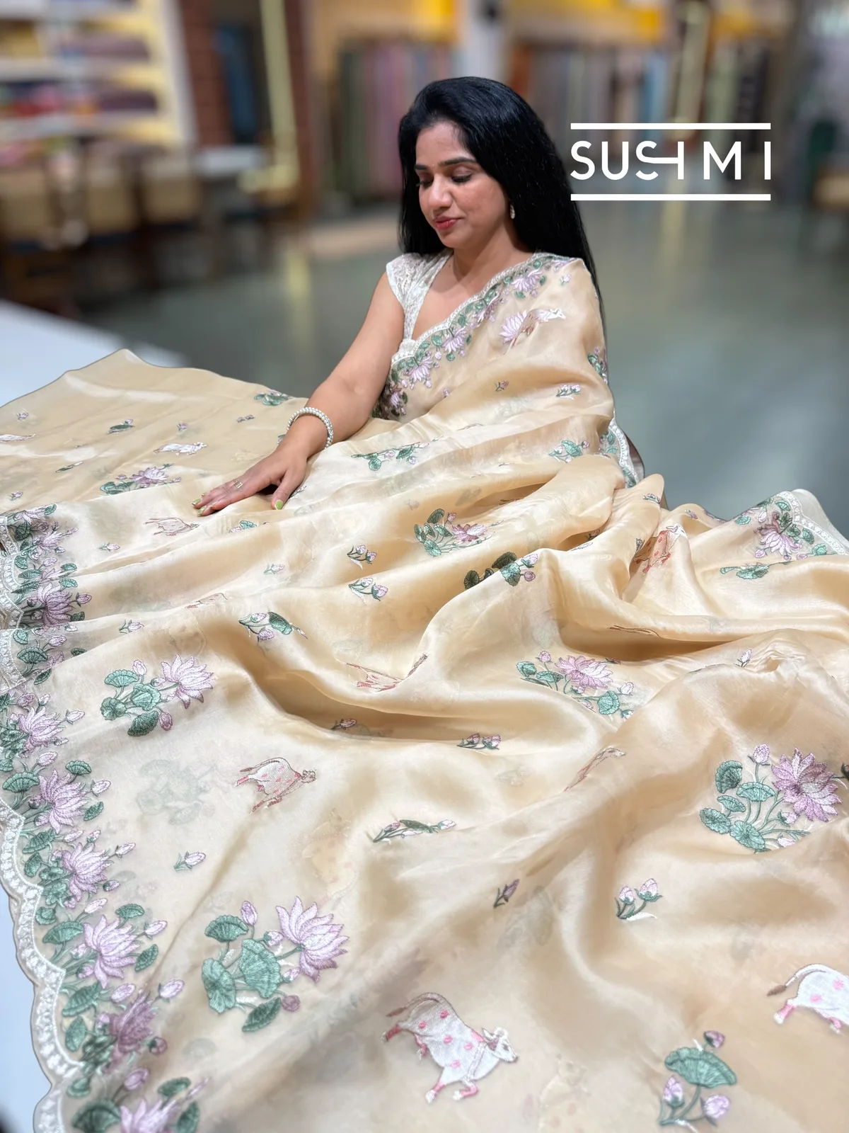 Sandalwood Pure Organza Saree with pichwai embroidery  — Image 2