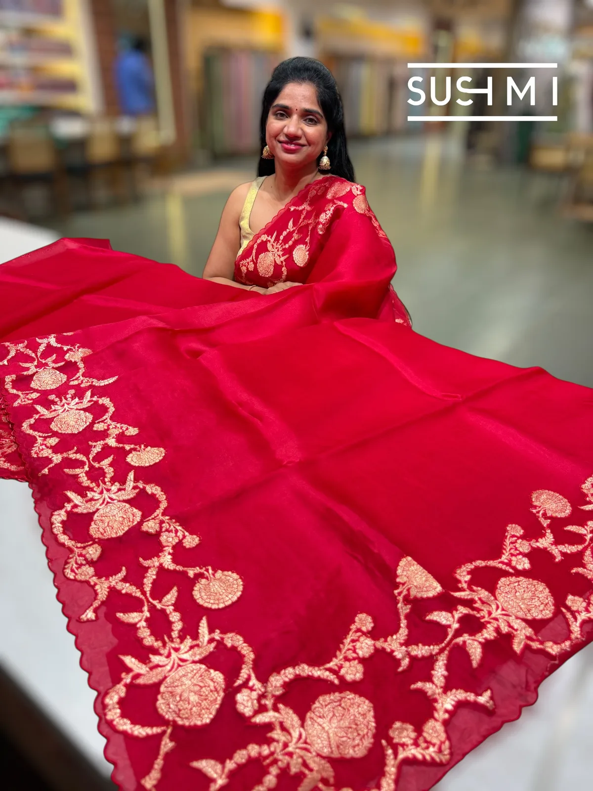 Red Pure Organza Saree with banarasi brocade applique work — Image 2