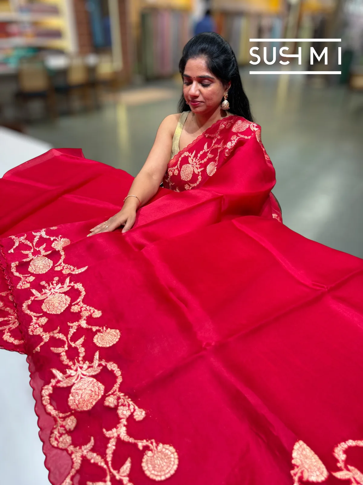Red Pure Organza Saree with banarasi brocade applique work — Image 3