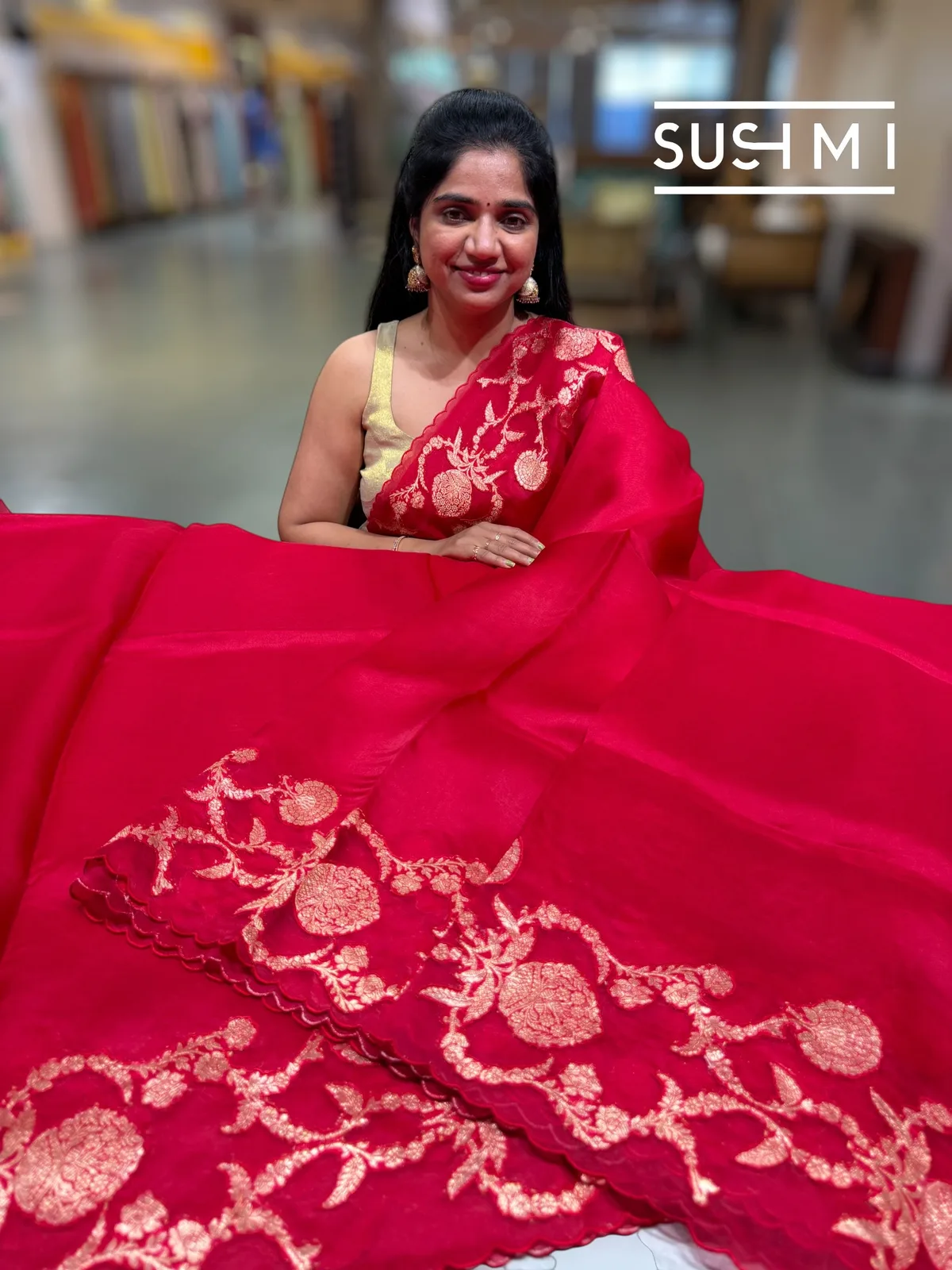 Red Pure Organza Saree with banarasi brocade applique work — Image 4