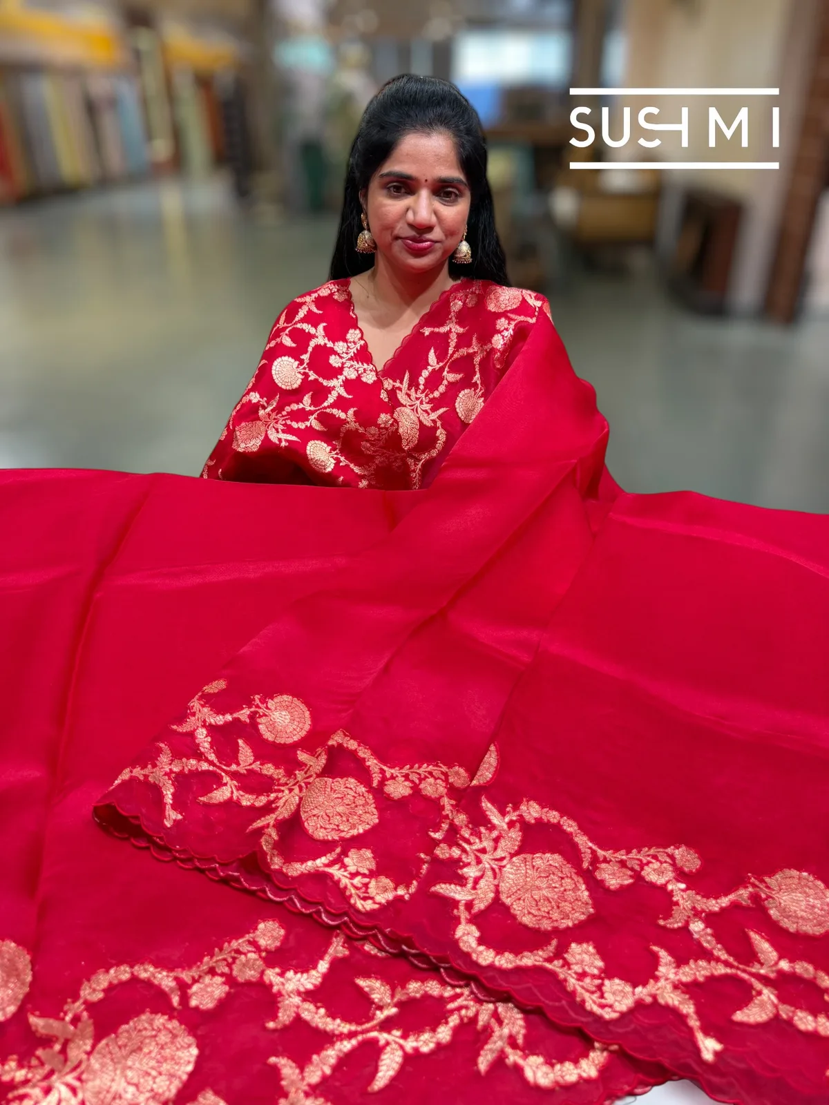 Red Pure Organza Saree with banarasi brocade applique work — Image 5